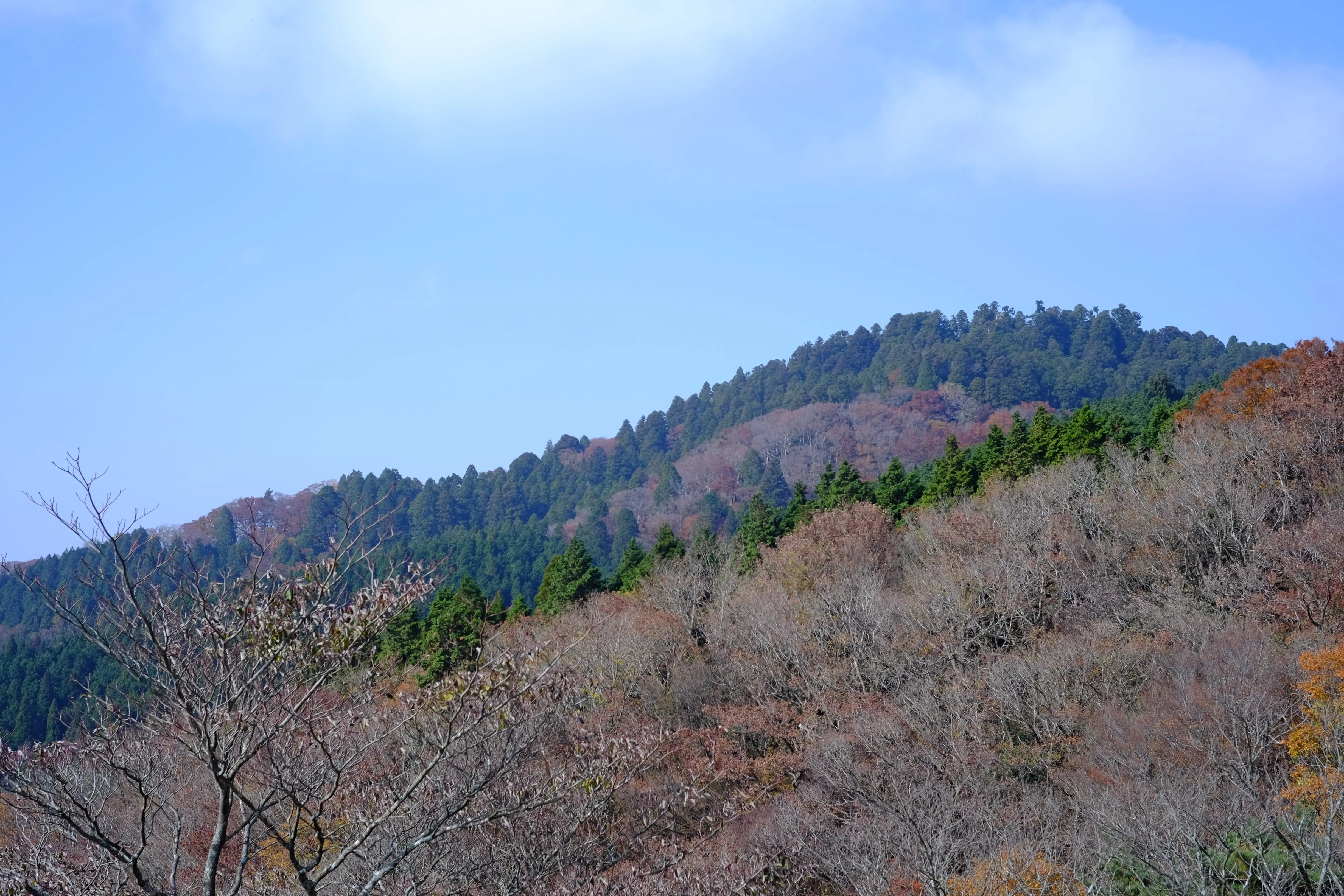 葛木岳