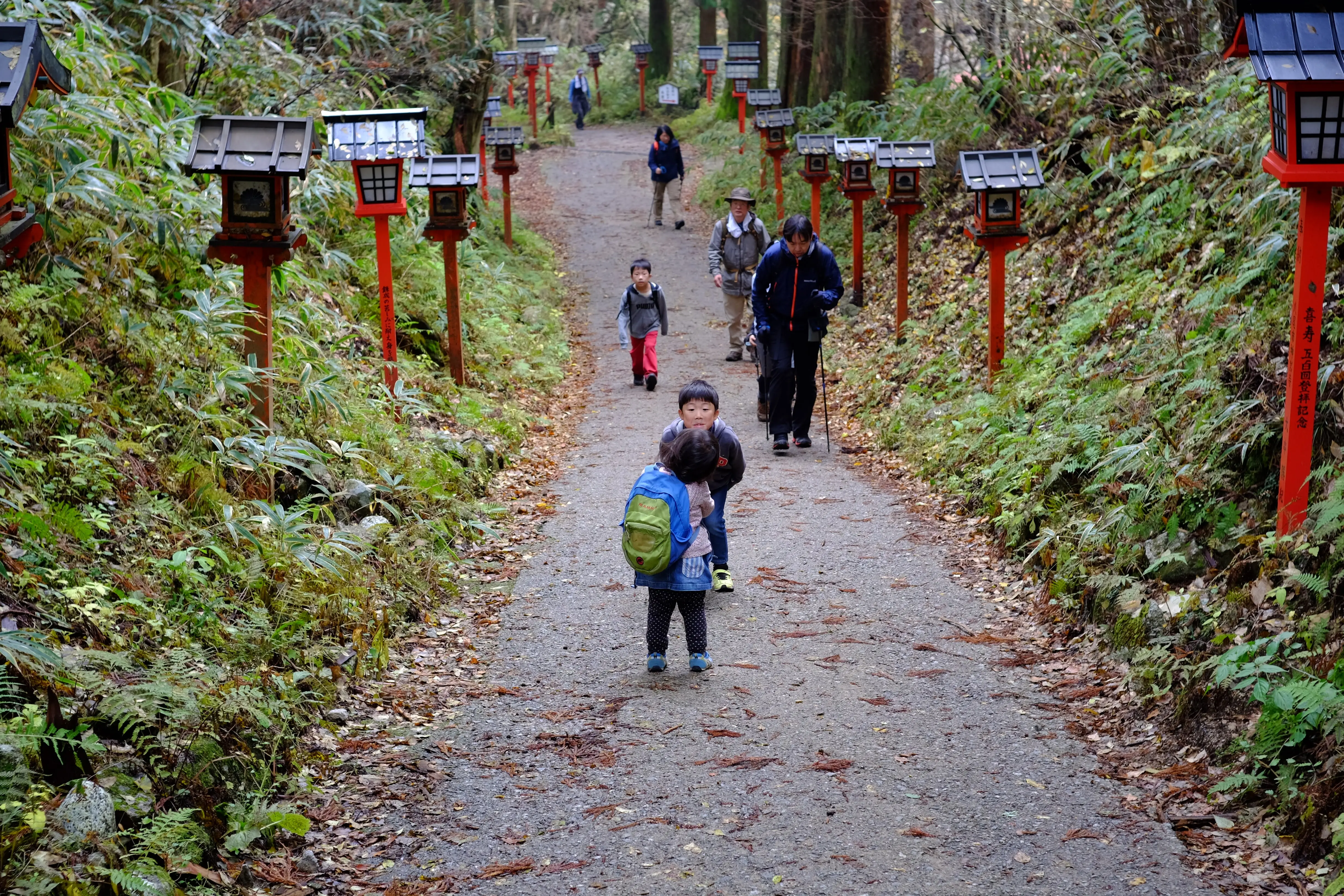 家族で登山 − 大阪府最高峰 金剛山に登山 featured image