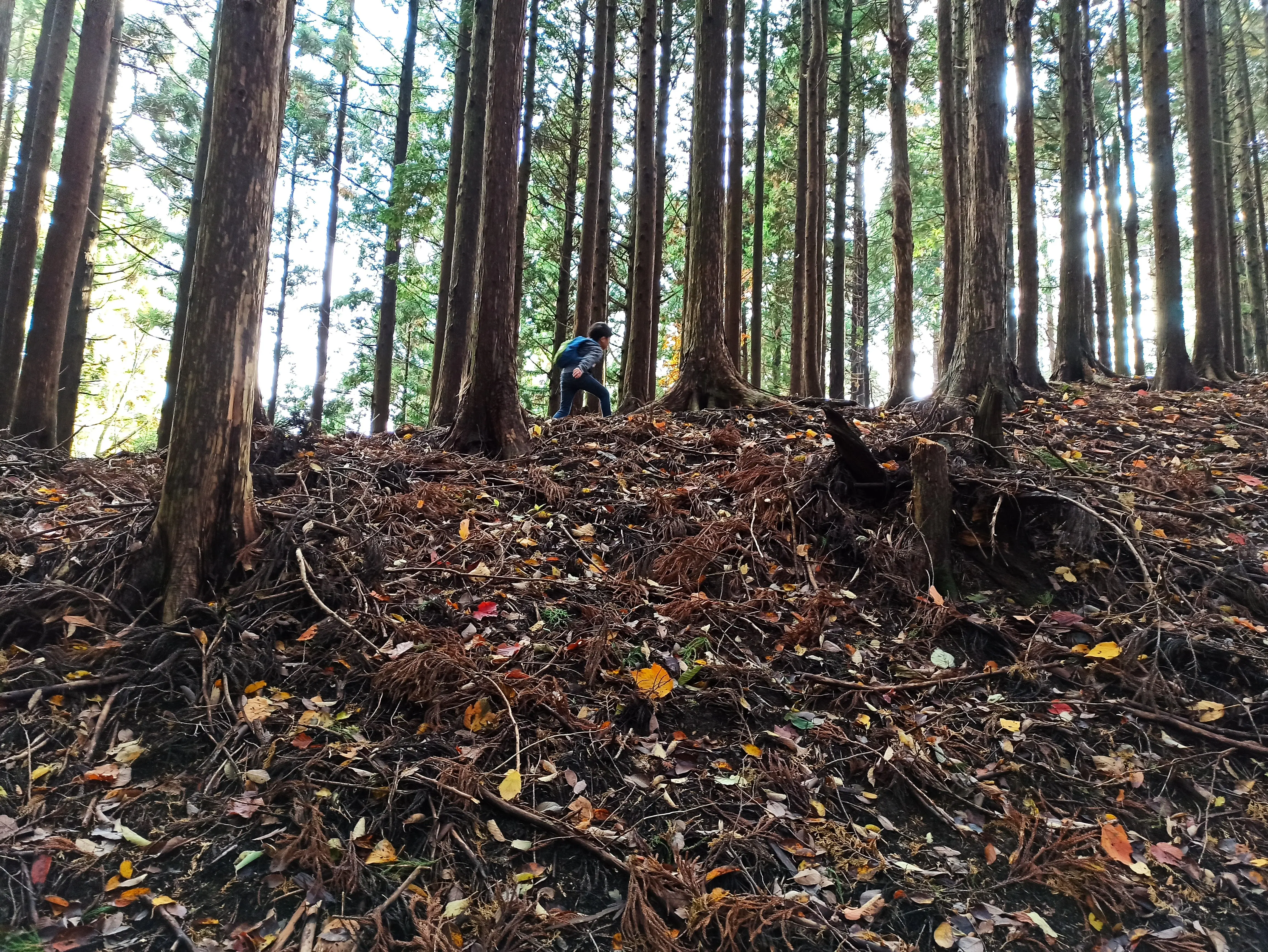 登山道を下る