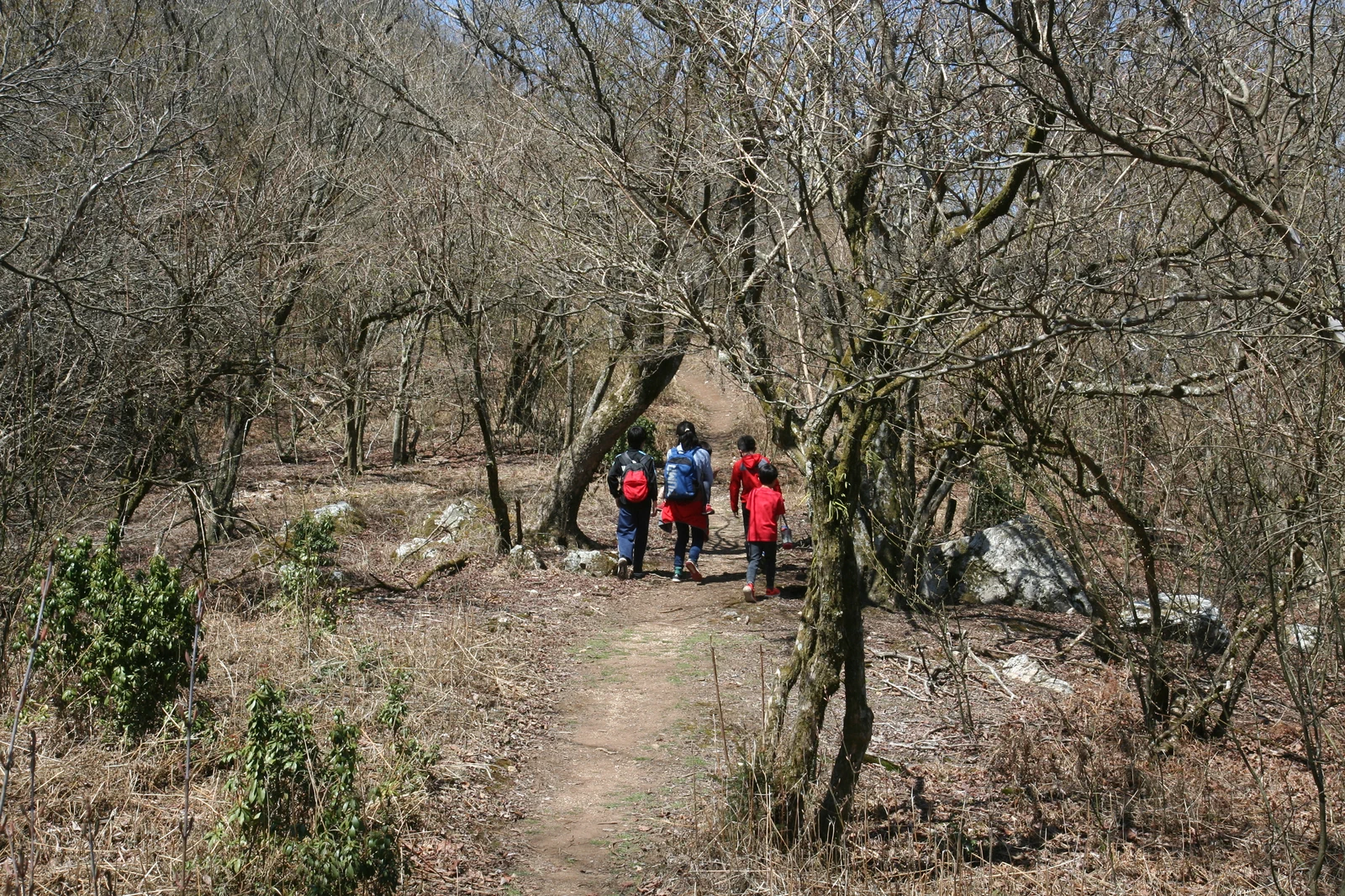 登山道