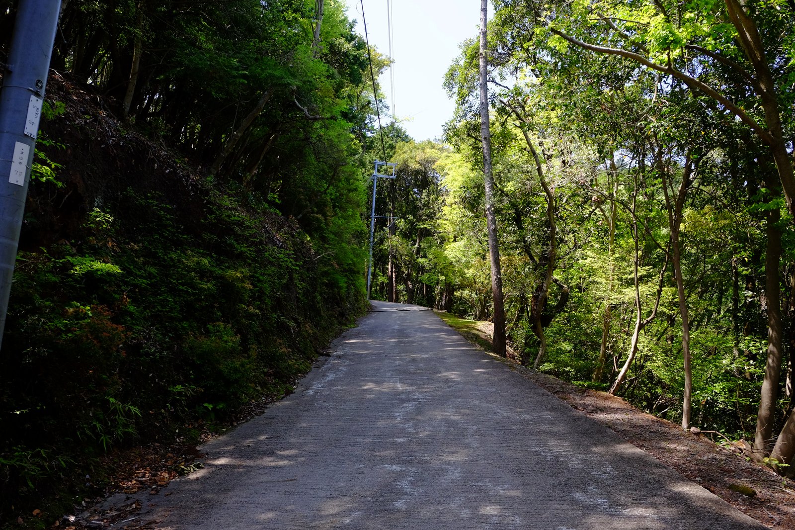 舗装道路