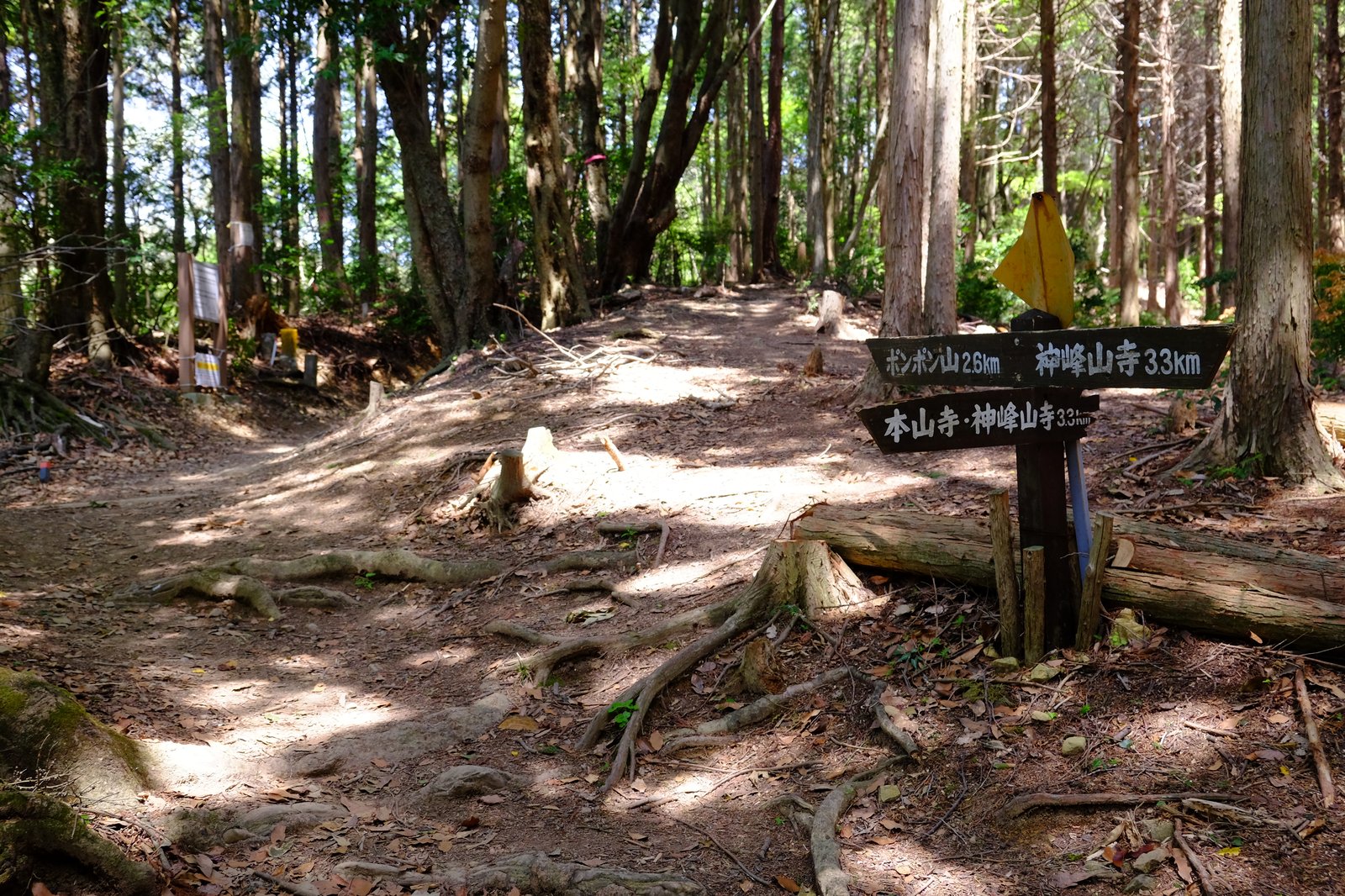 登山道と合流