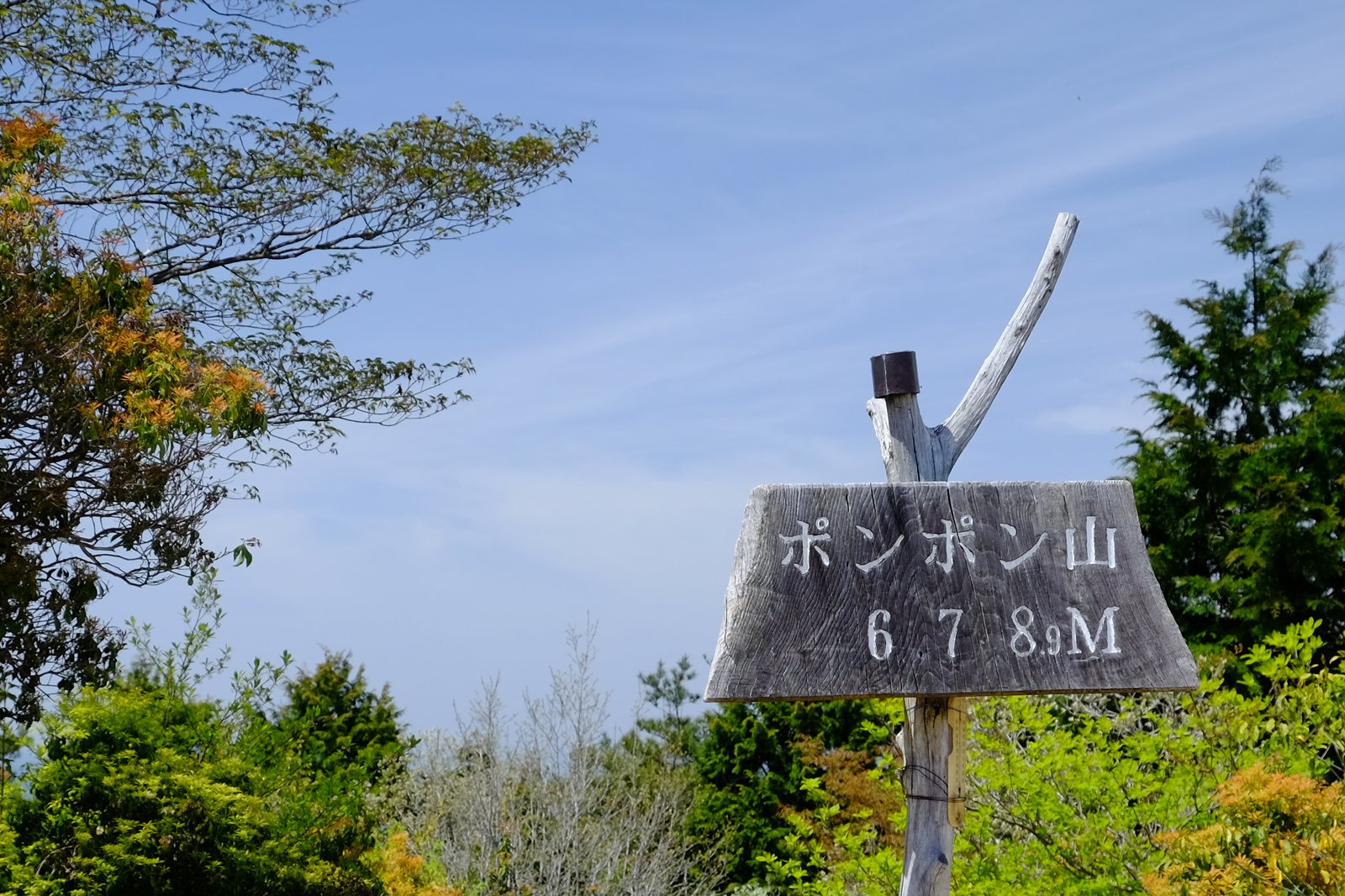 ポンポン山登山 featured image