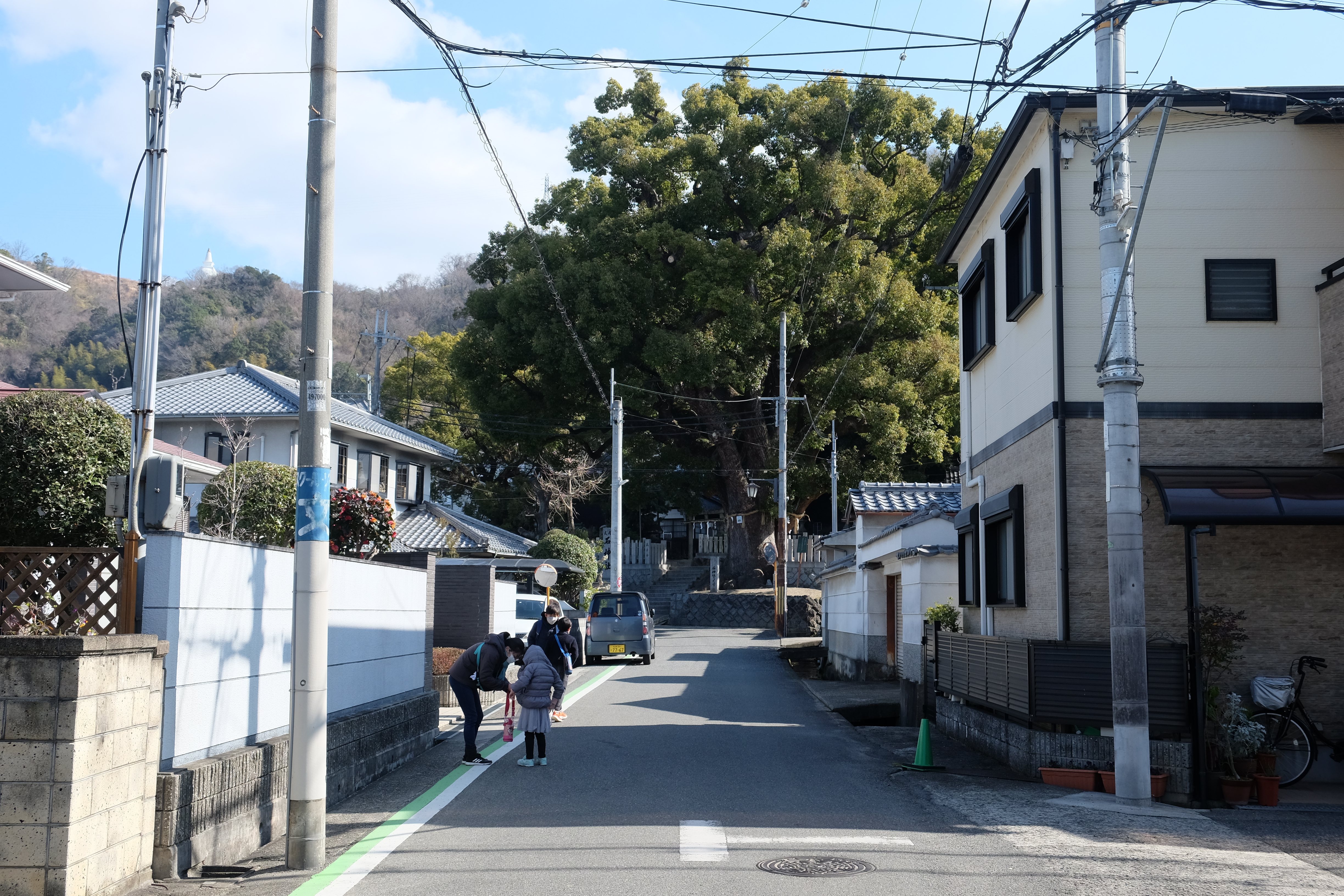 奥に巨大な木