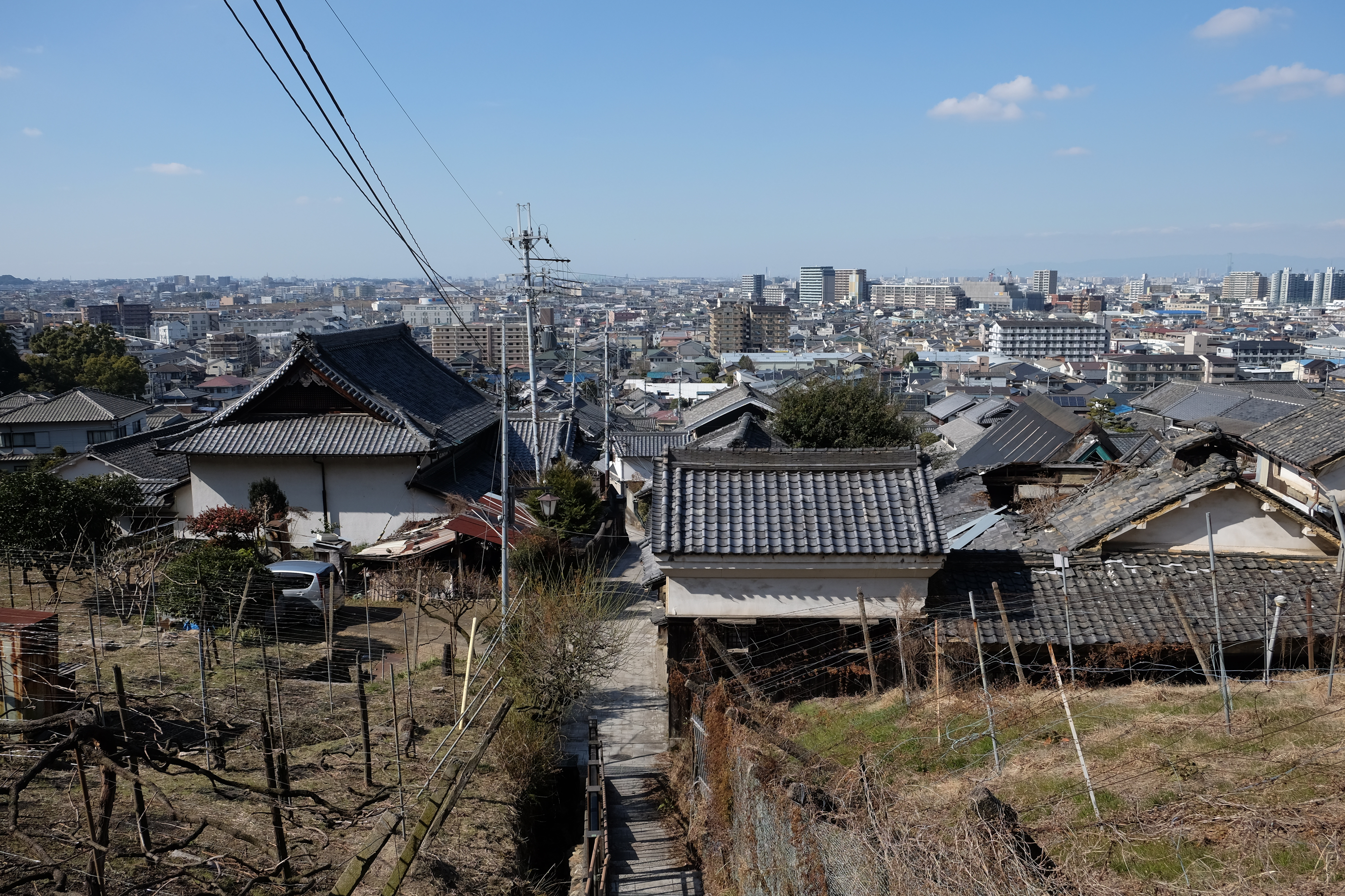大阪の街を眺める