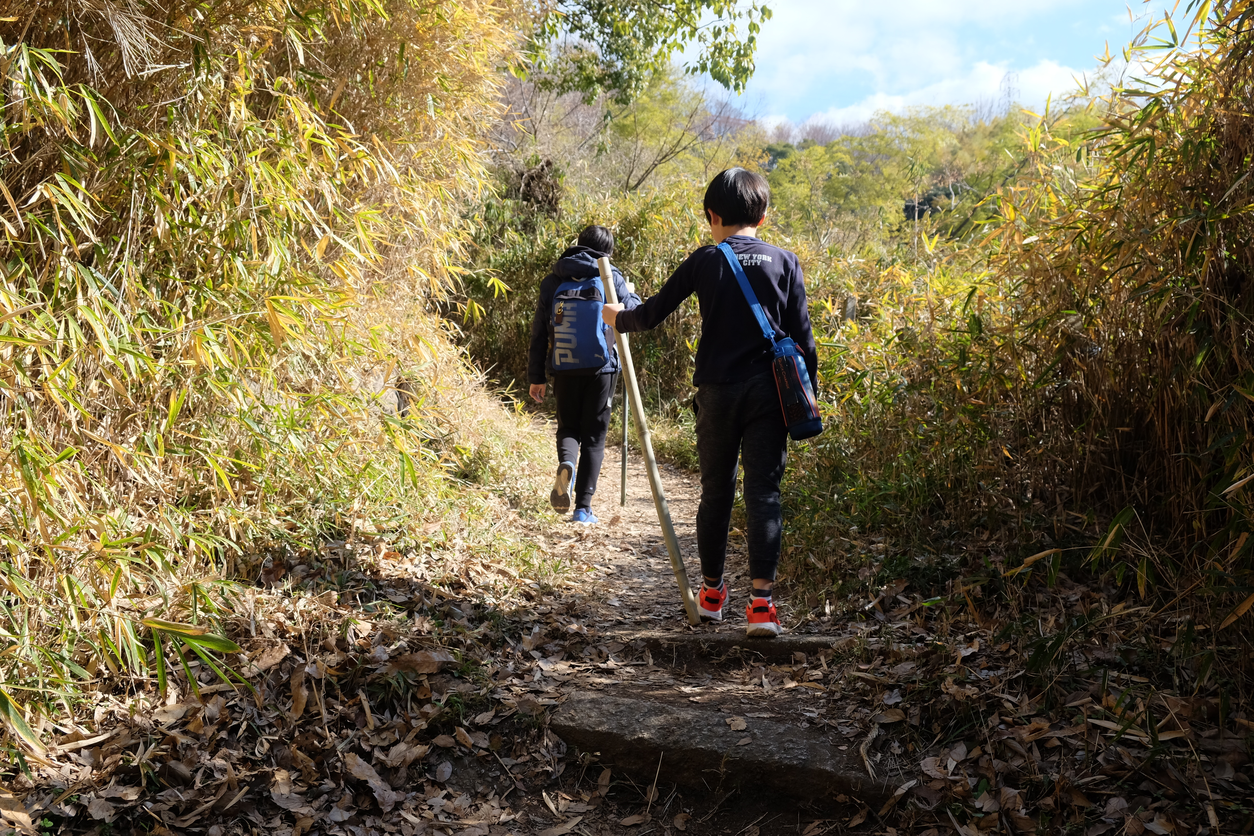 山道を杖をつきながら歩く