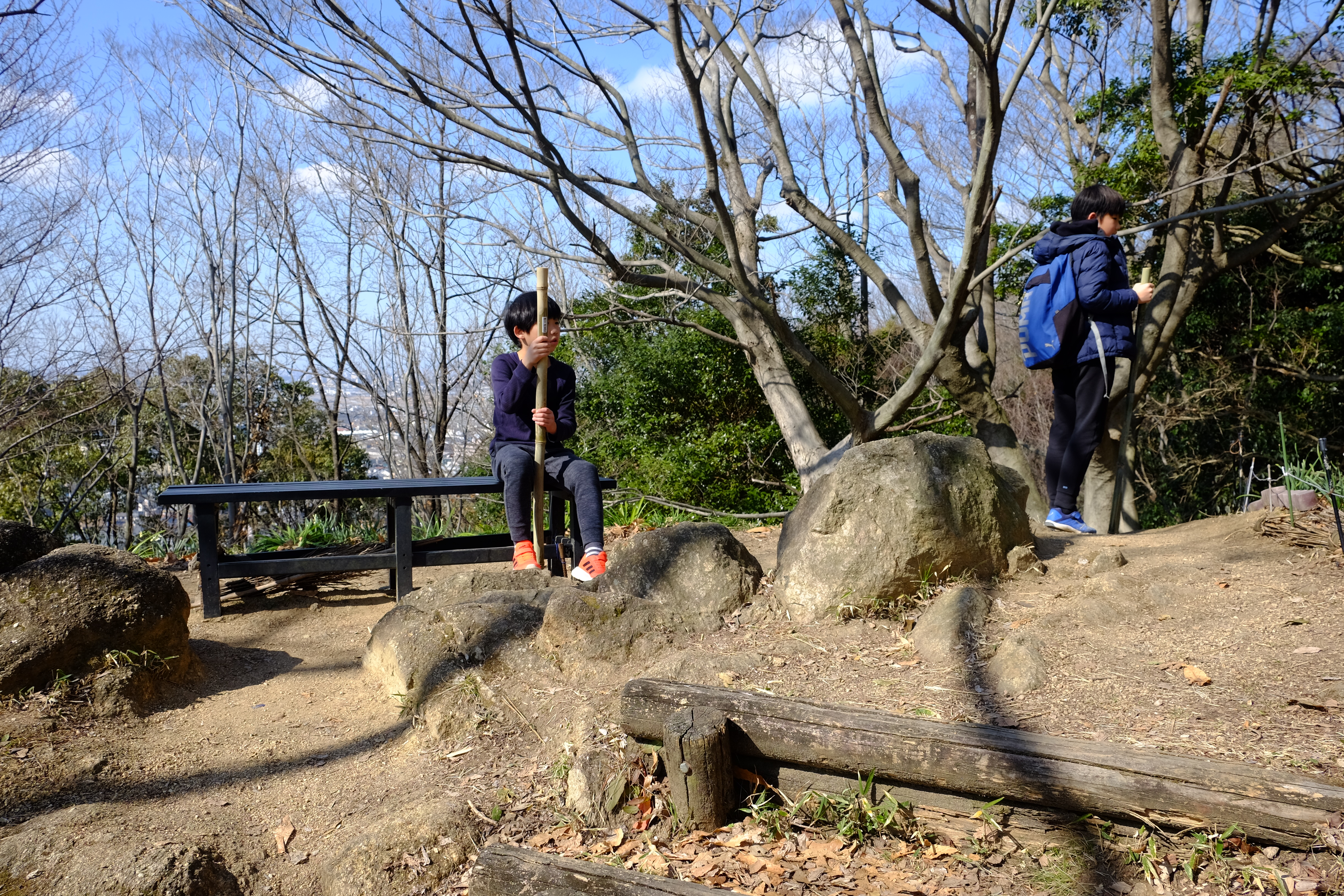 分岐のベンチ