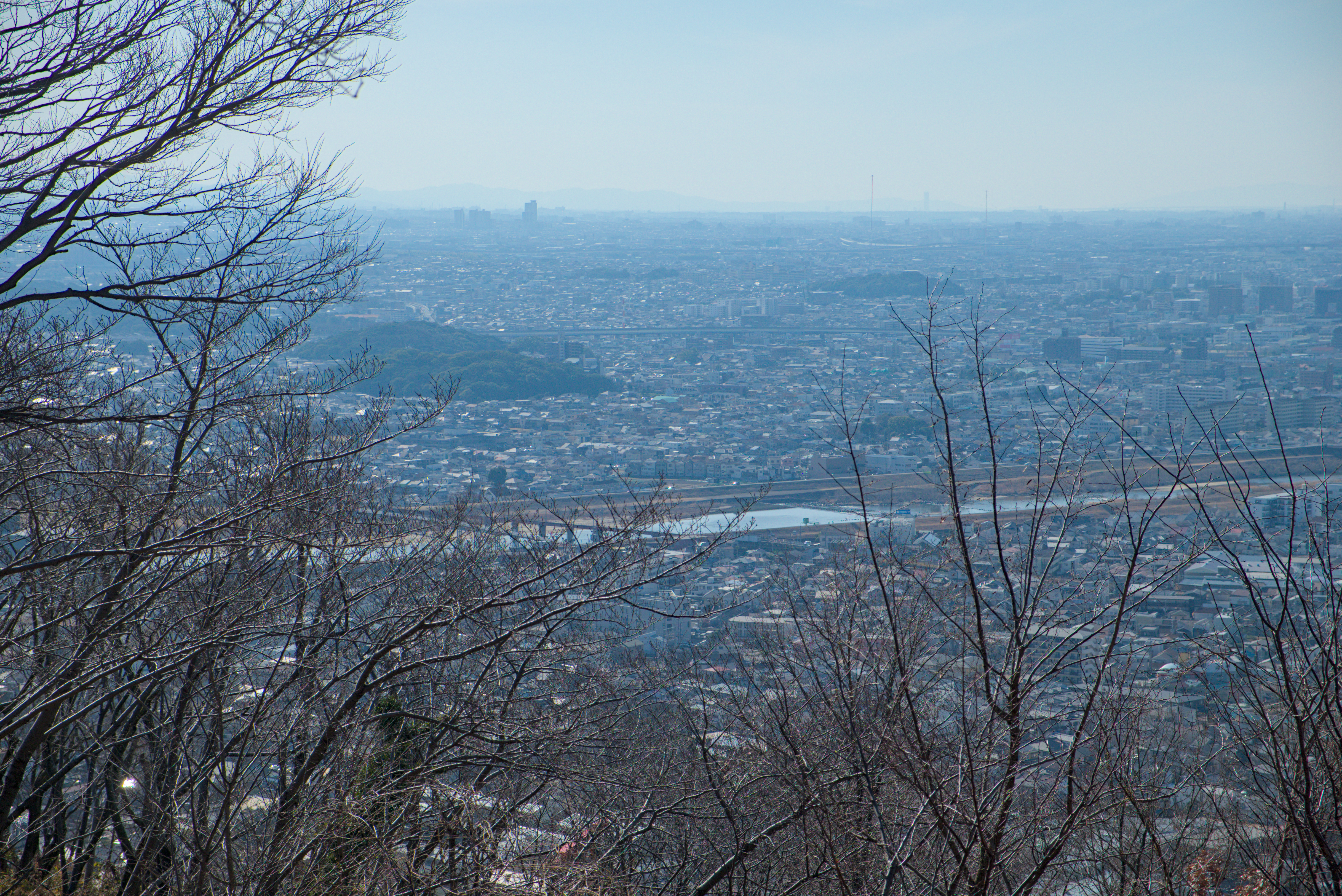 古墳が見える