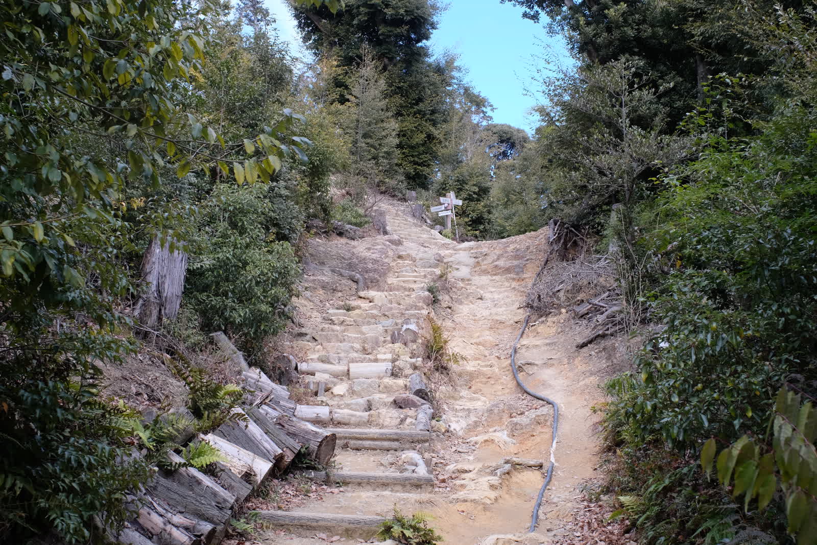 分岐