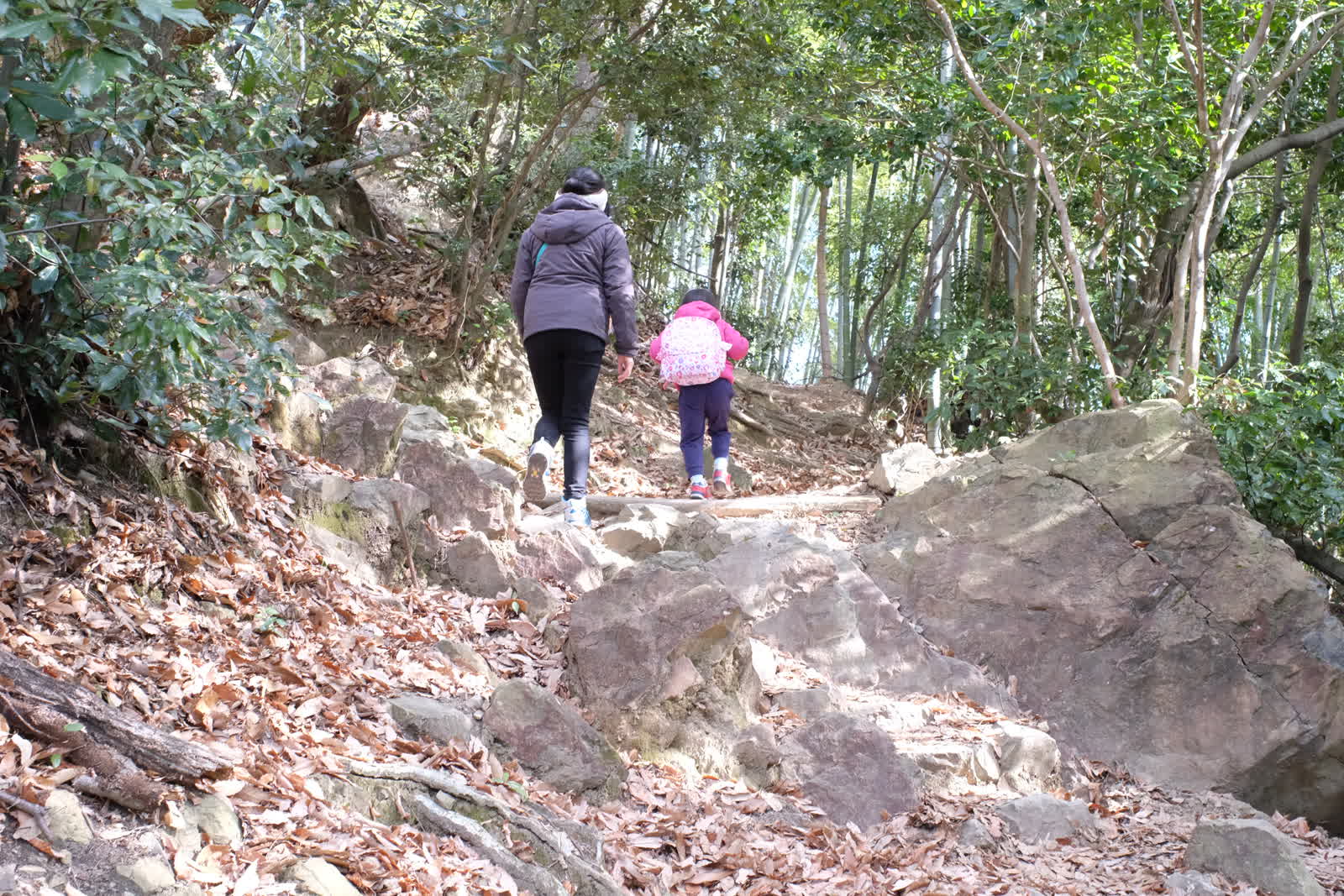 山道