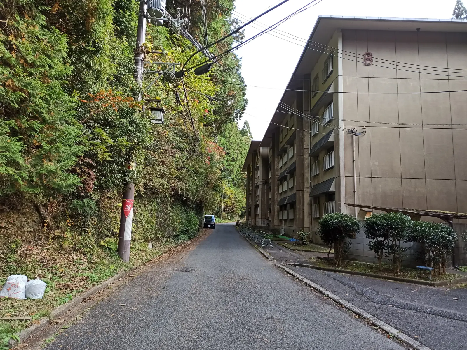 ささやきの小径