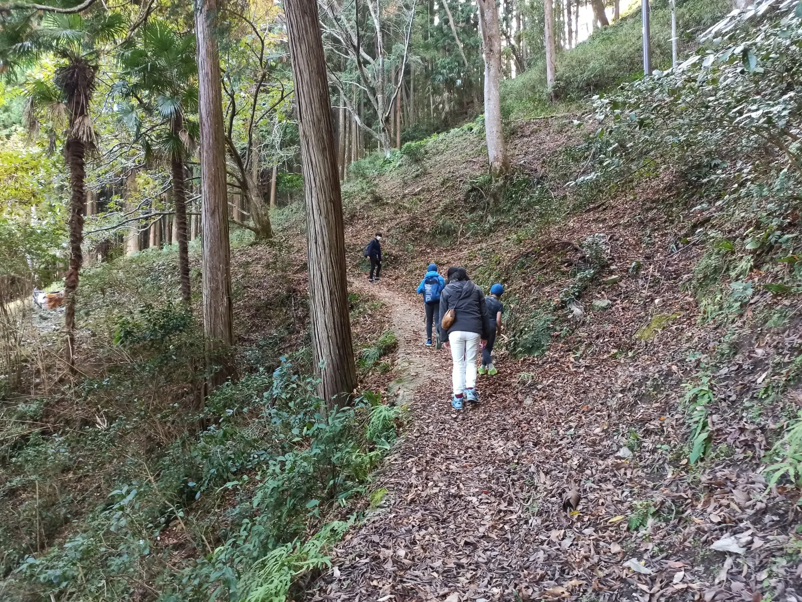 急な山道を登る