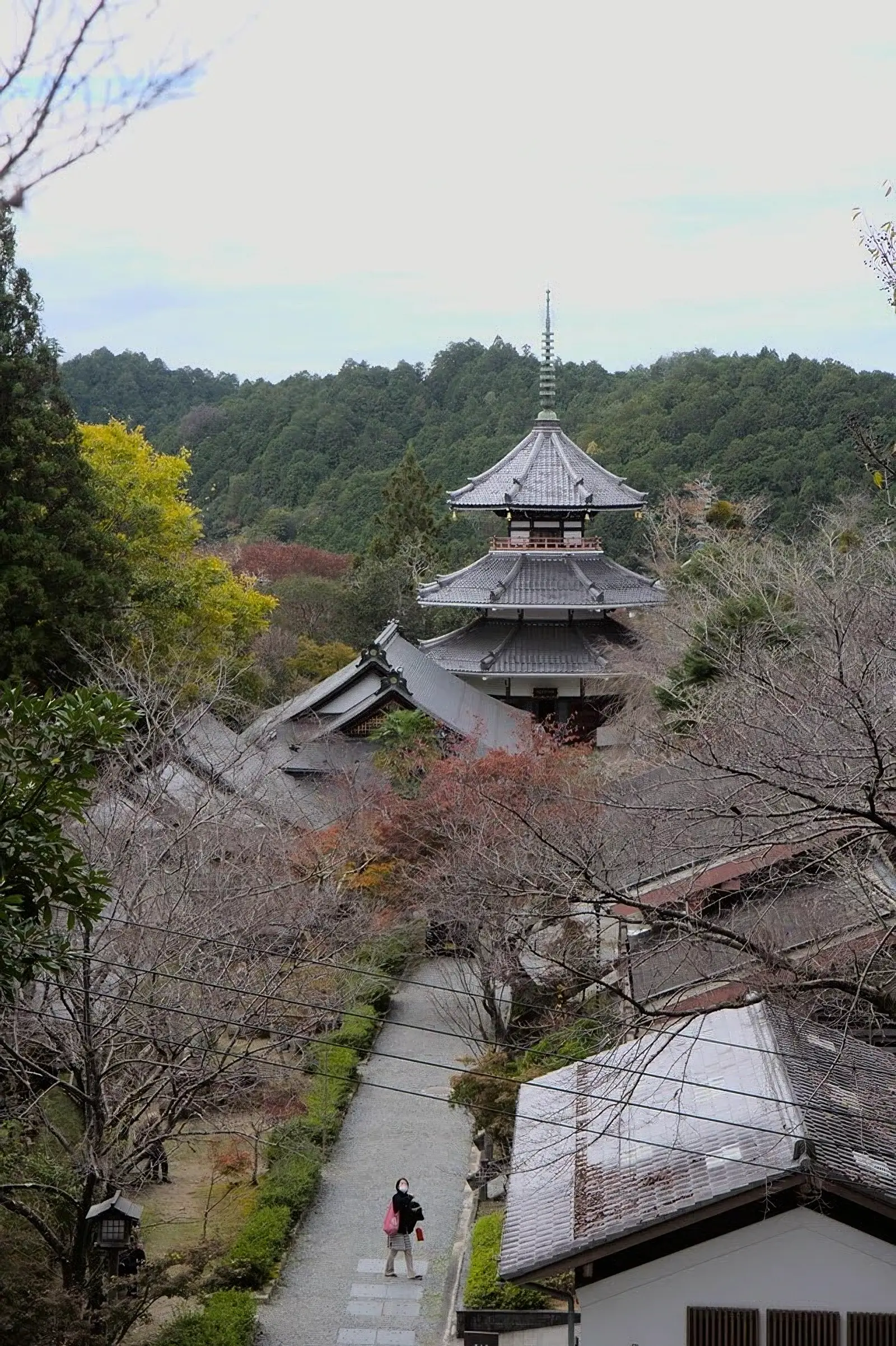 吉野朝宮跡