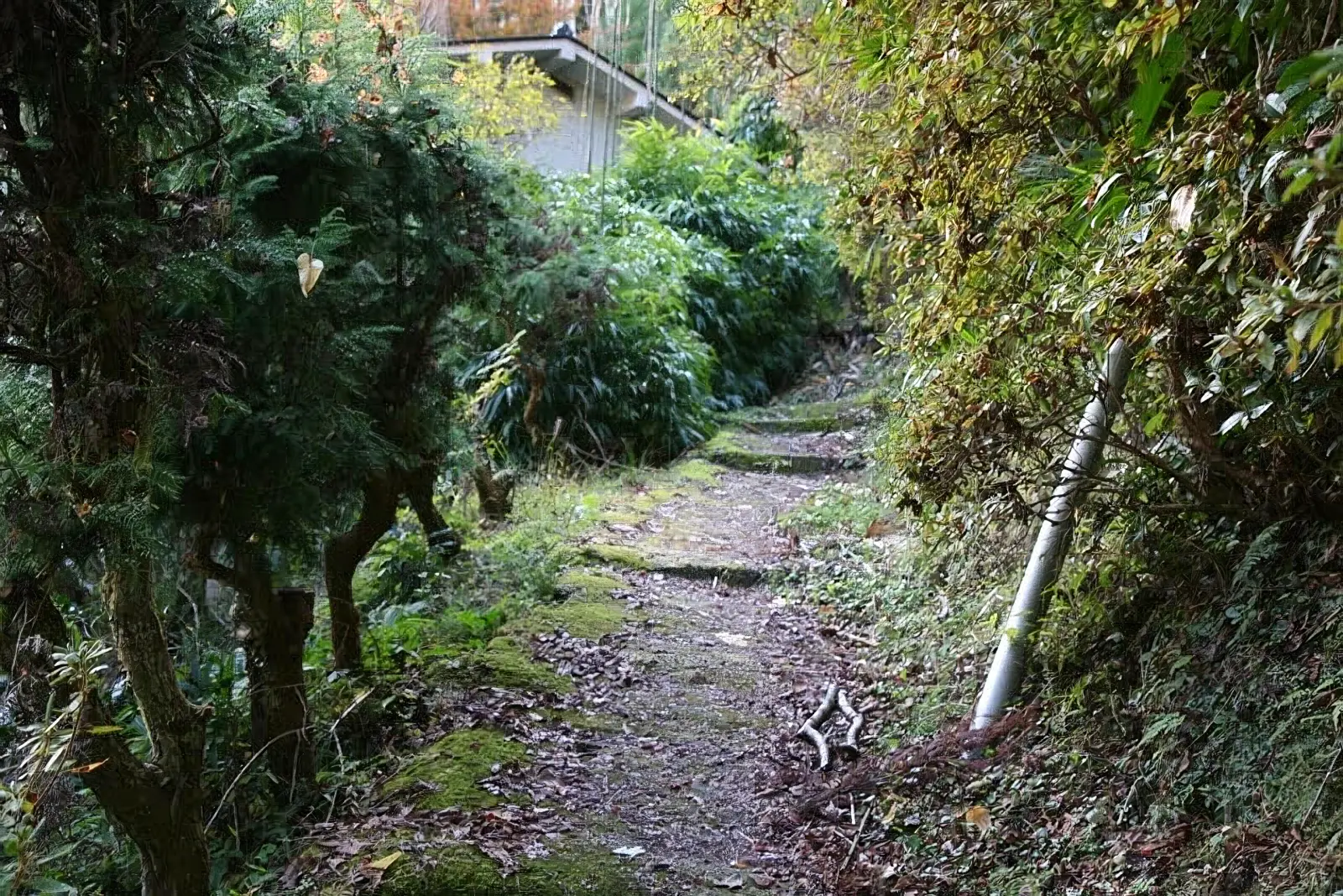急な山道