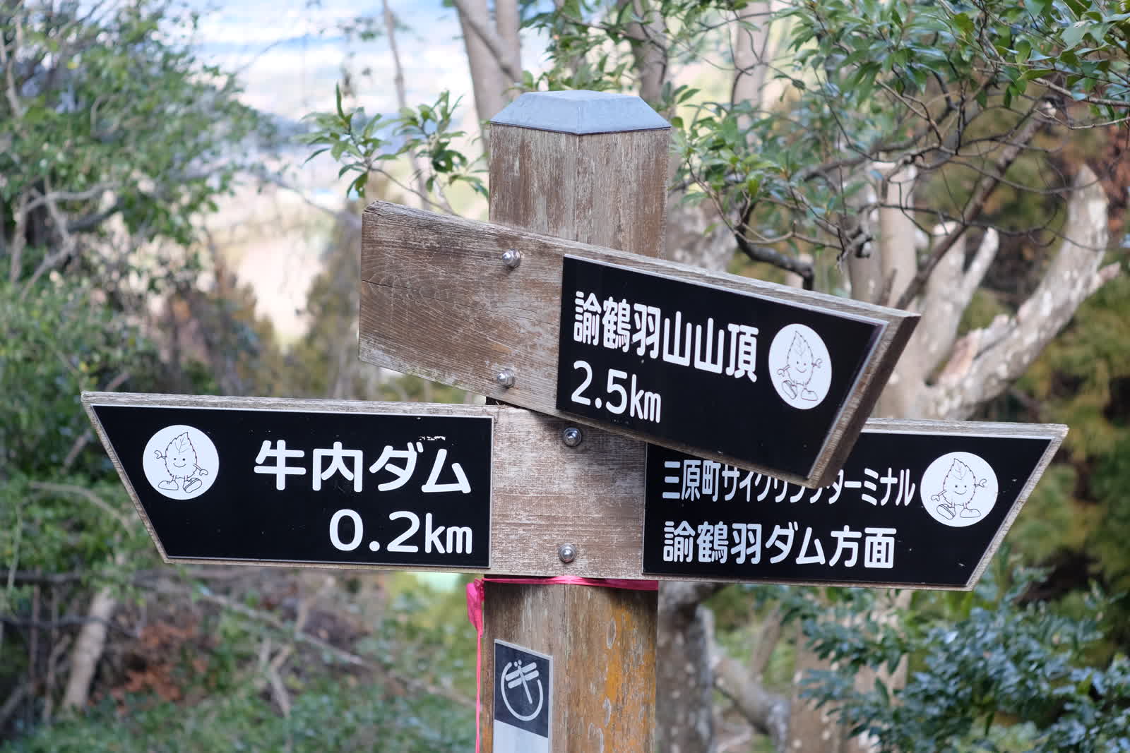 牛内ダム側からの道と合流