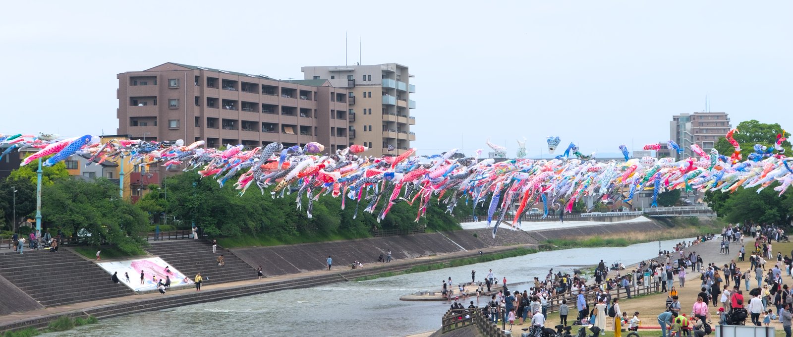 芥川桜堤公園の北側から見るこいのぼり