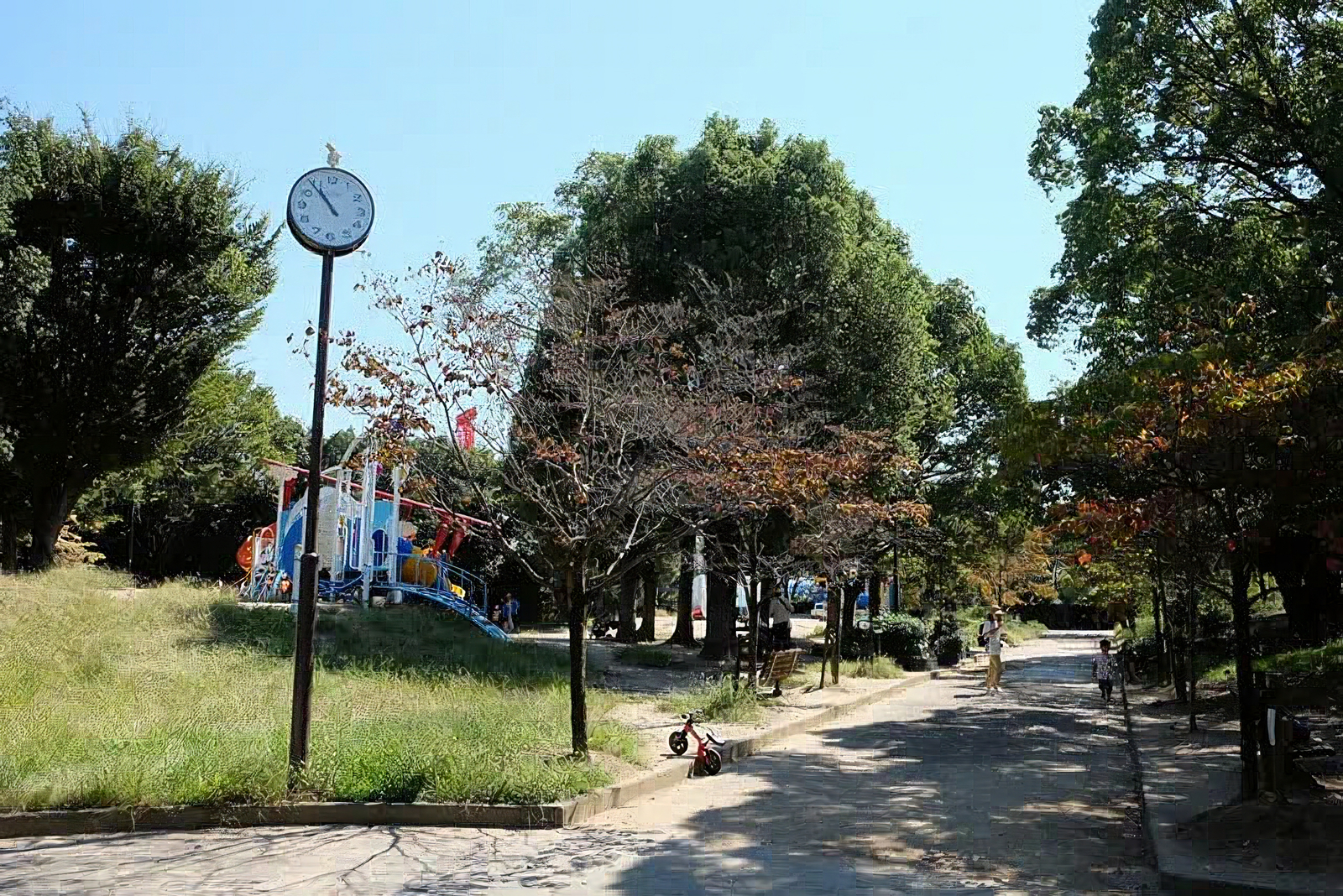 公園内
