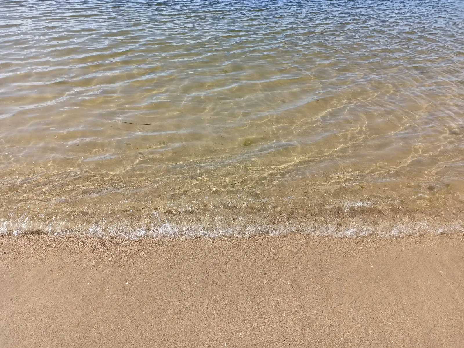 波打ち際