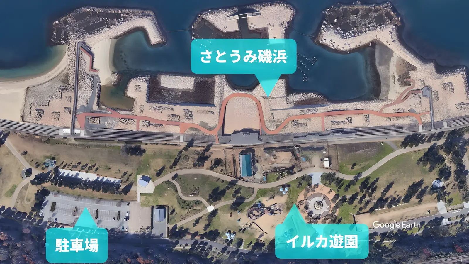 せんなん里海公園中心部衛星画像