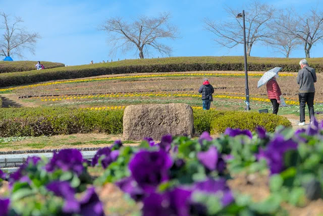 花の広場