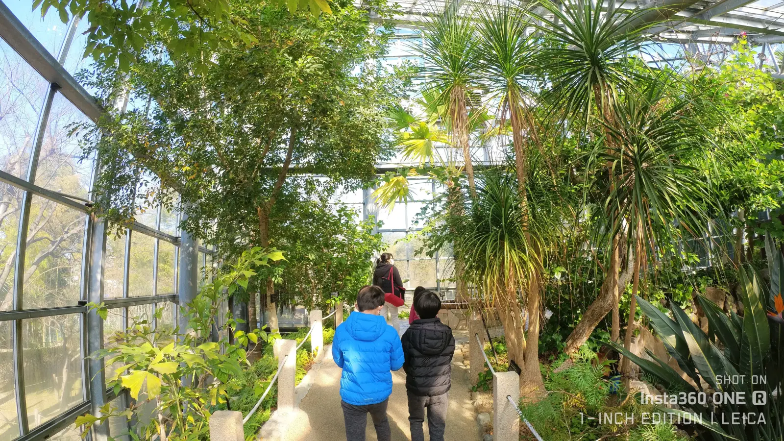 温室の中