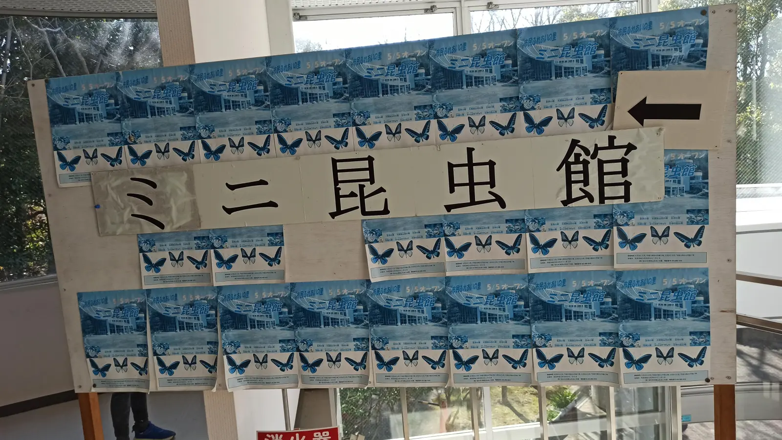 ミニ昆虫館