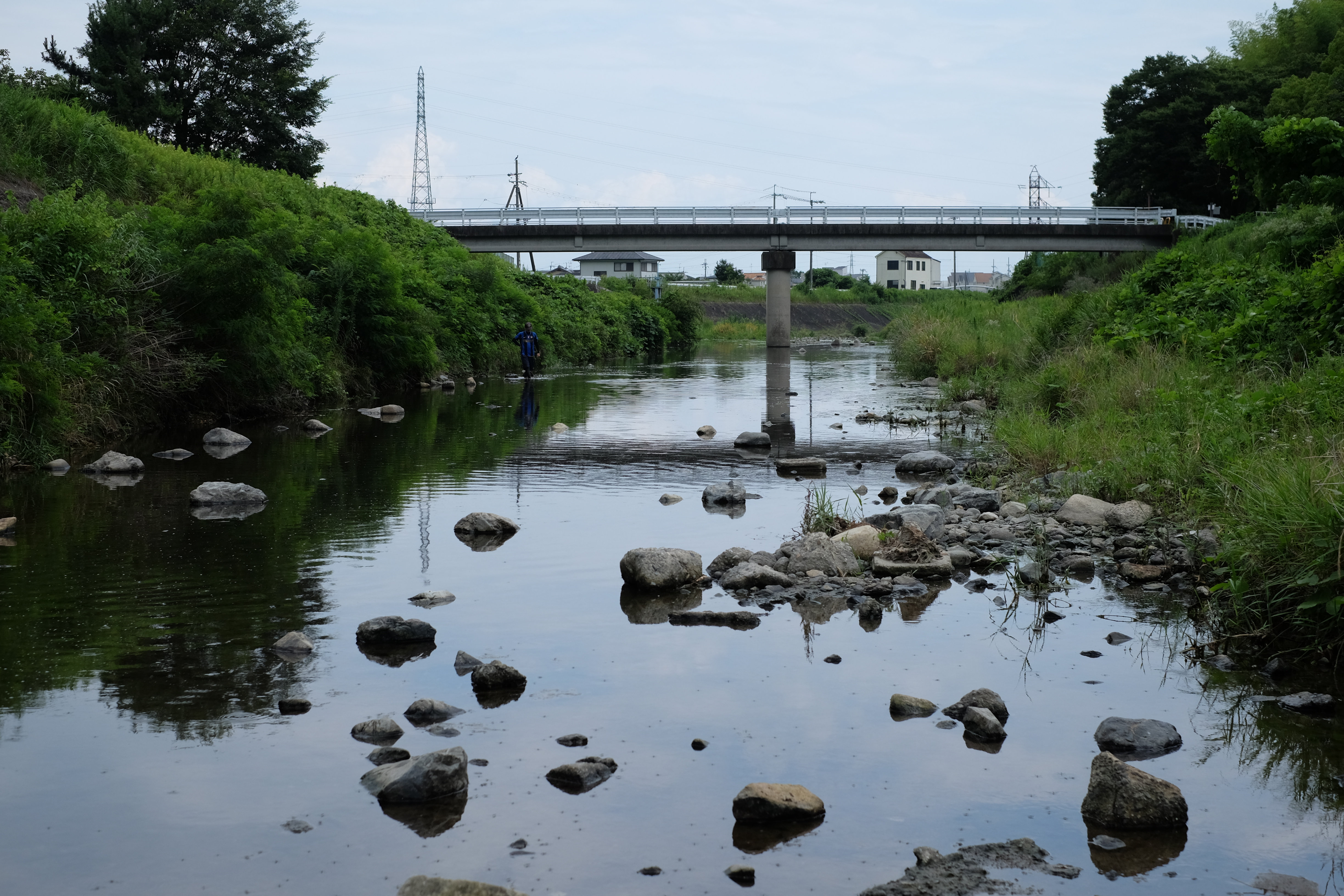 芥川の下流側