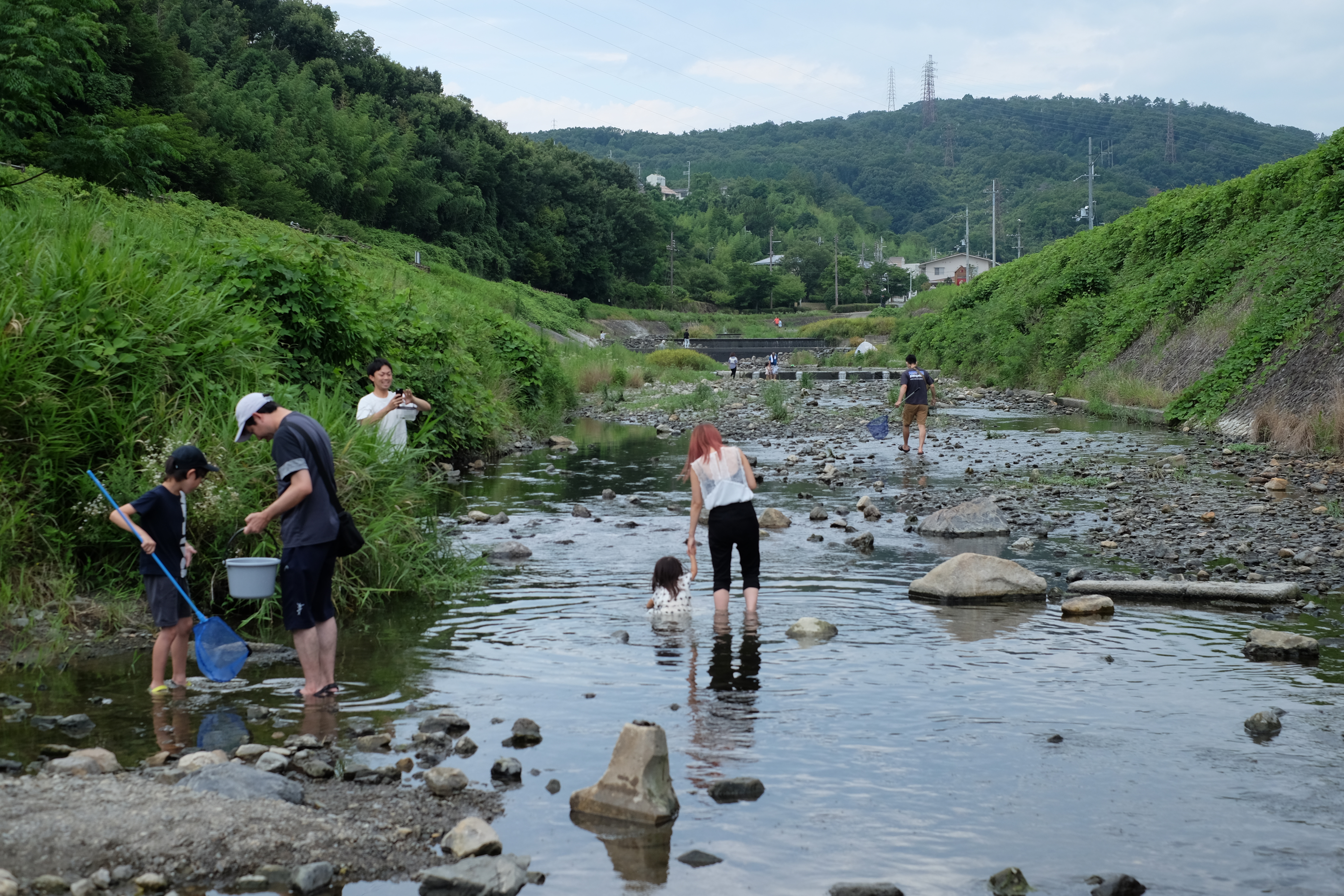 川遊びスポット 高槻市立自然博物館(あくあぴあ芥川) featured image