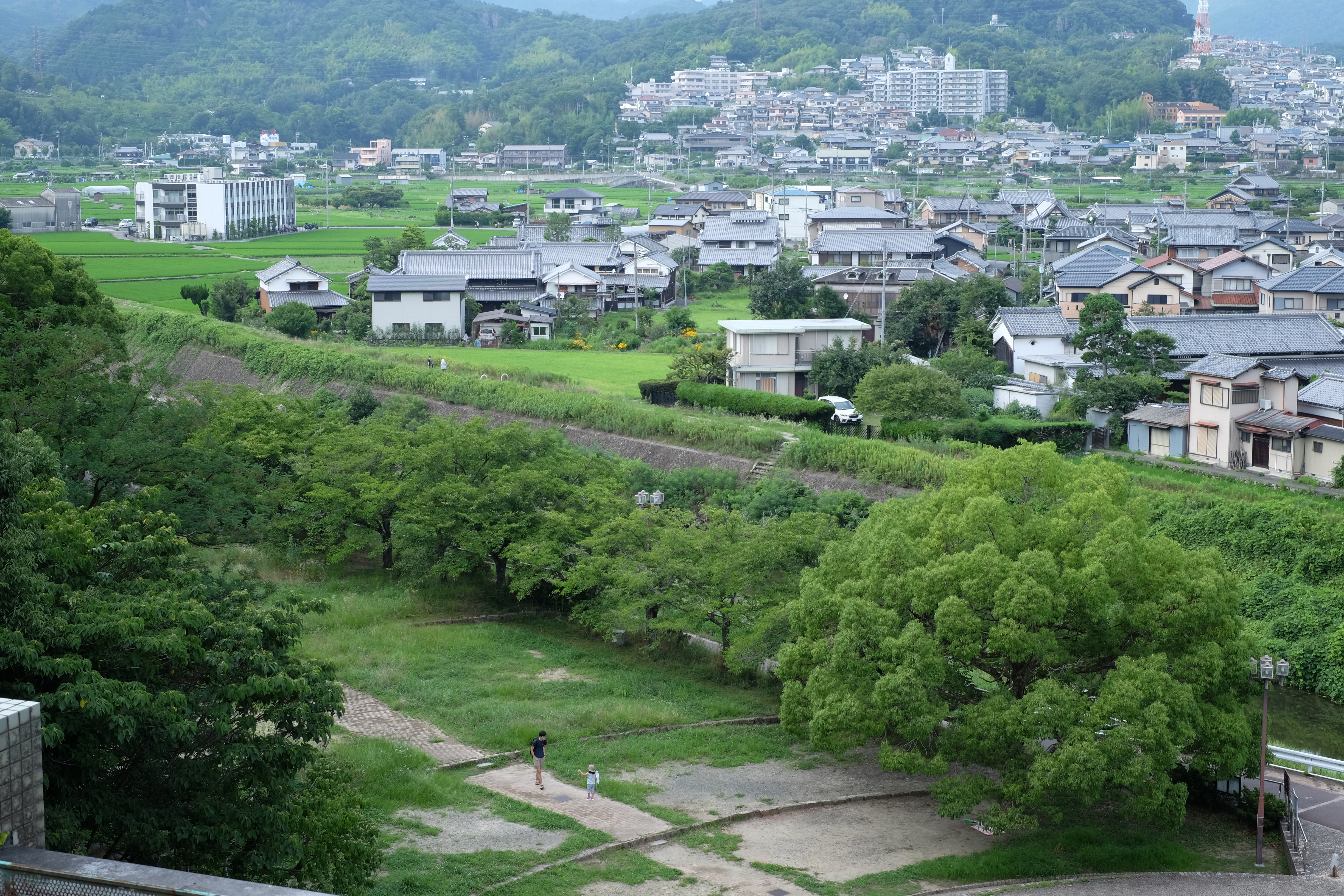 眼下に流れる芥川