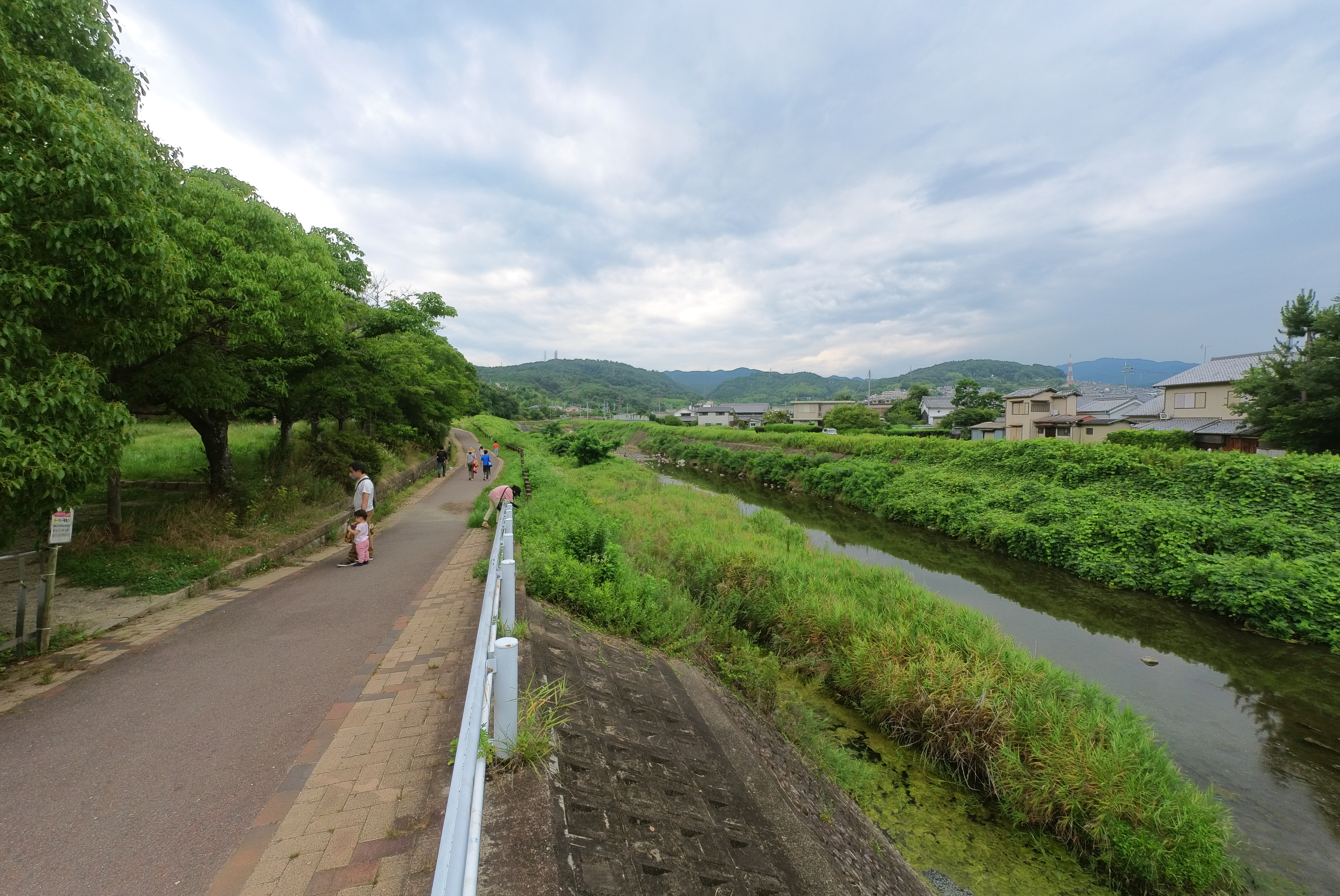 芥川沿いの歩道