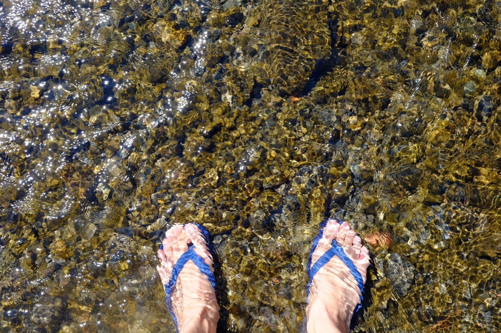 川に足を浸ける