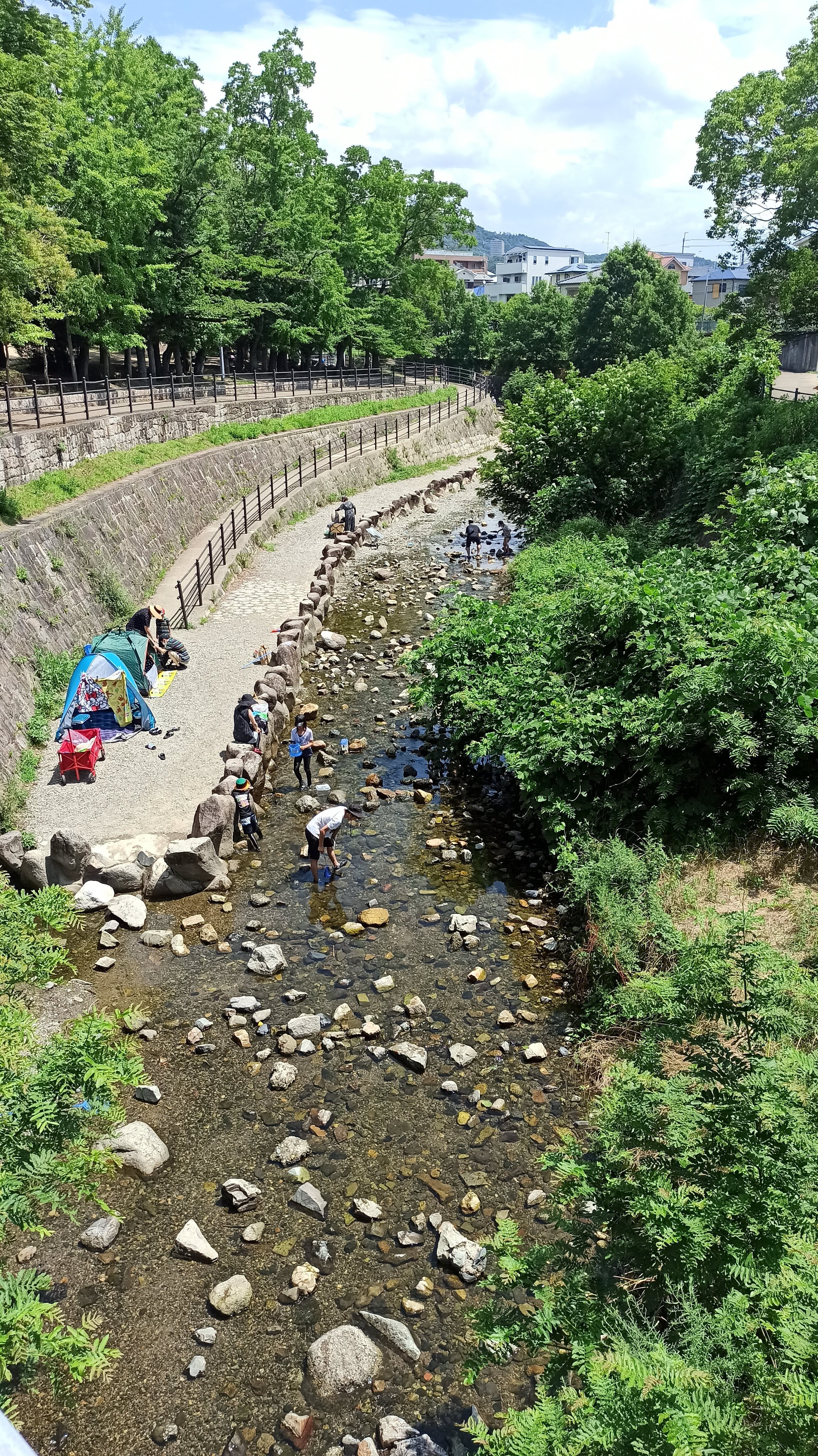 駐車場への橋の上から川下側を見る