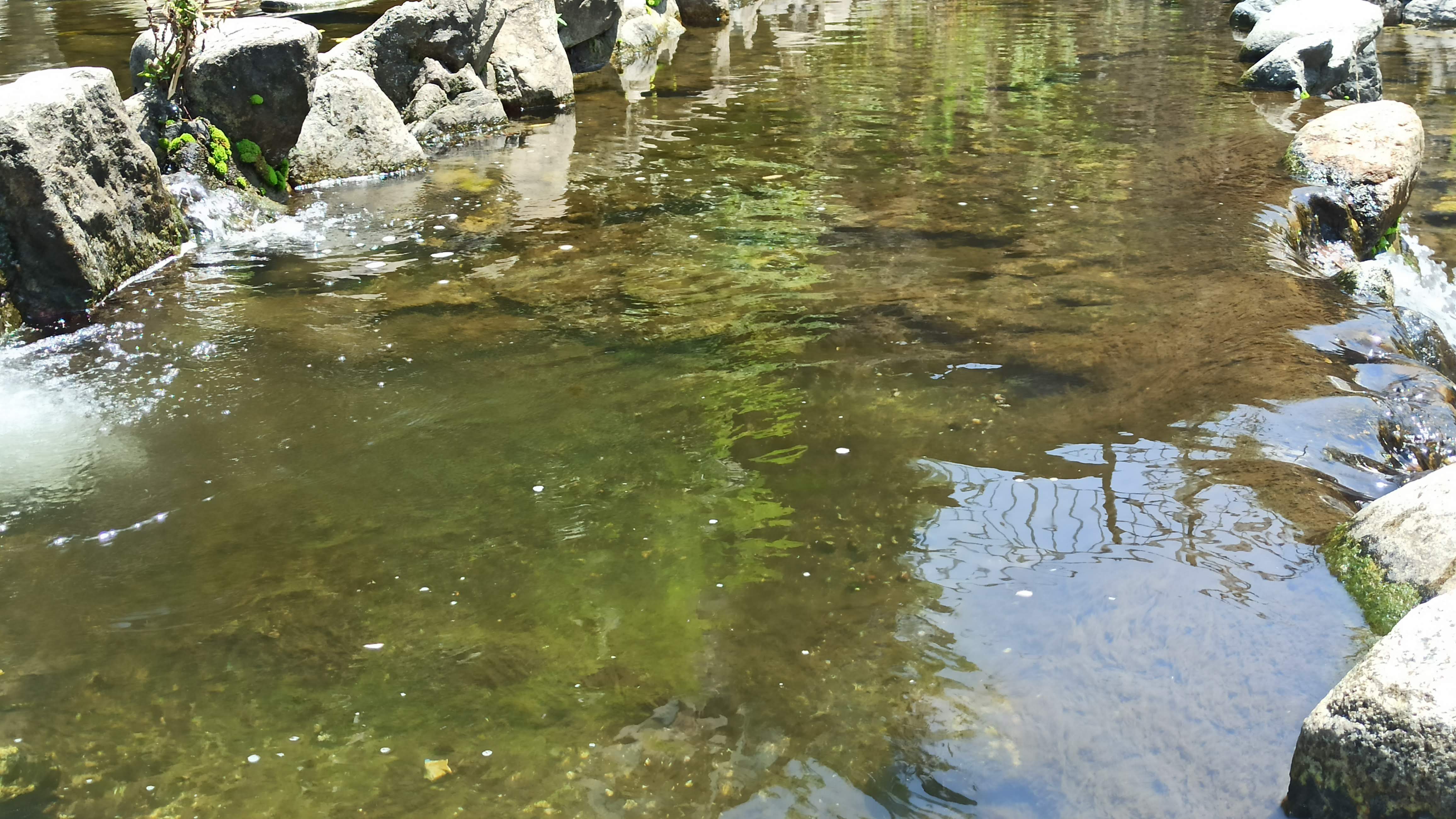 濁った川