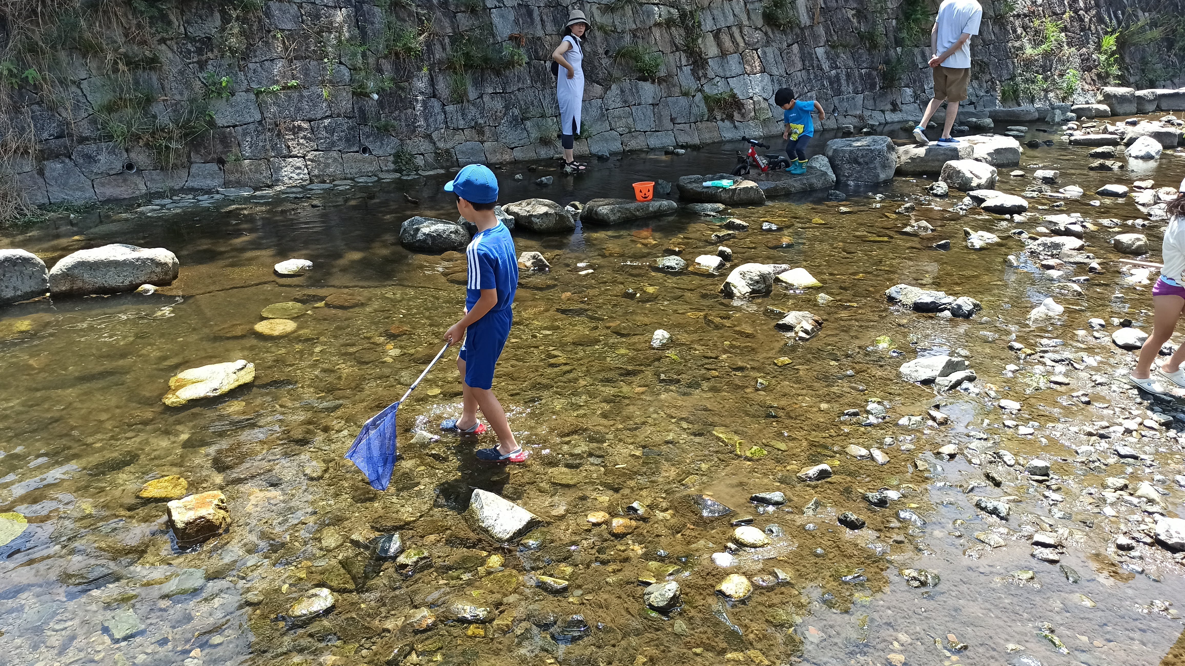 魚採り