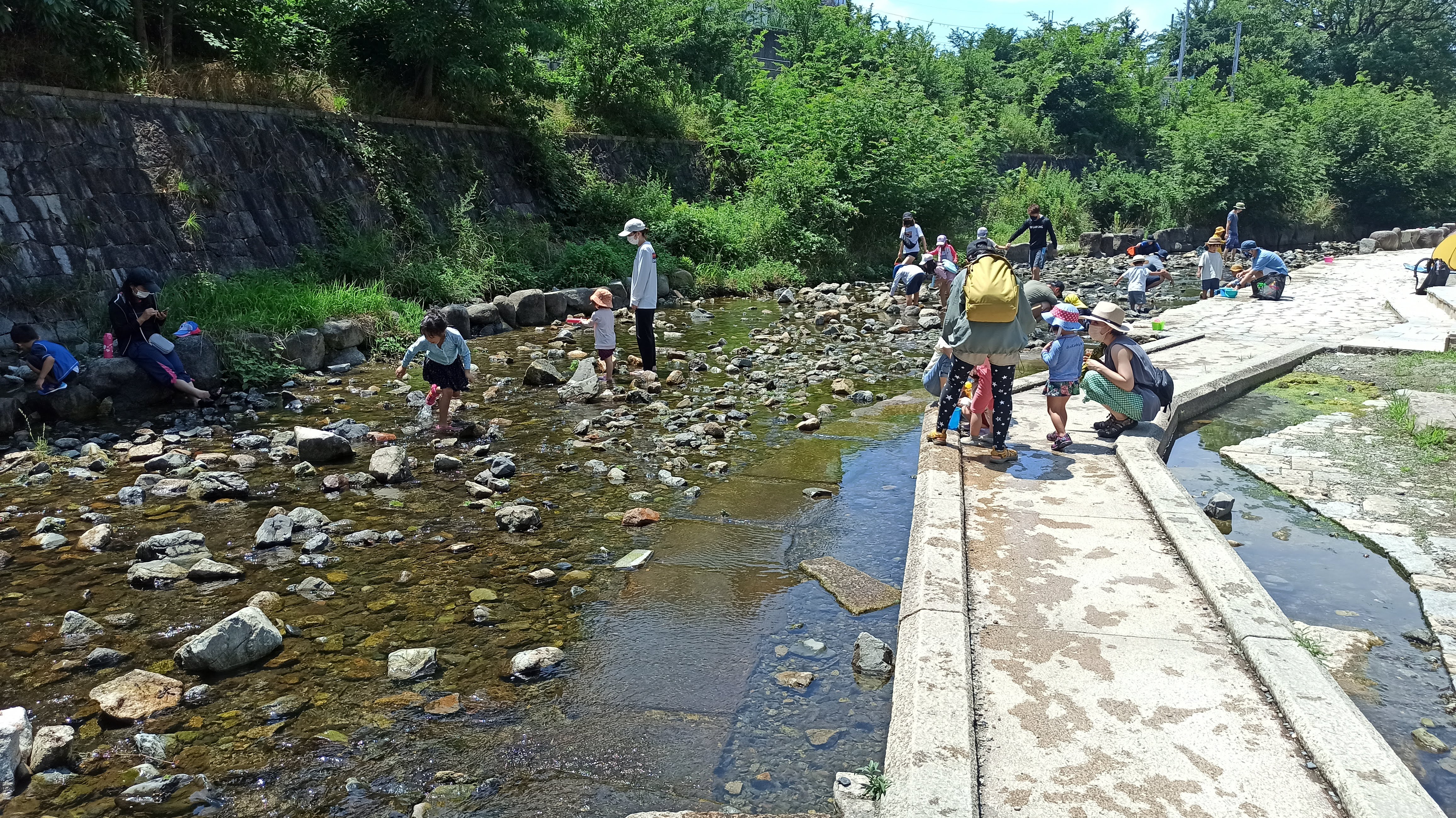 【川遊びスポット】大阪 箕面西公園でオオサンショウウオに遭遇! featured image
