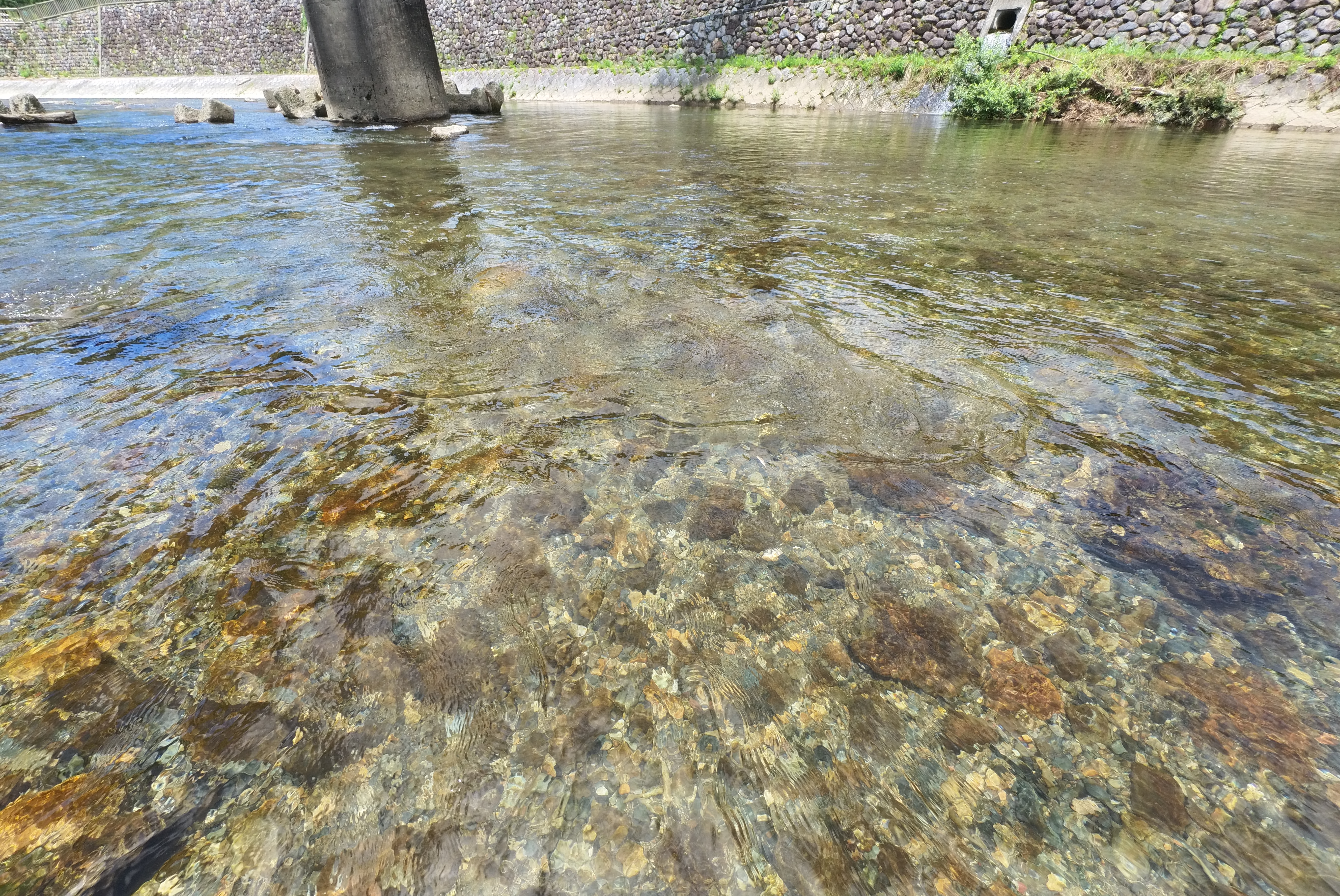 透明感のある川の水