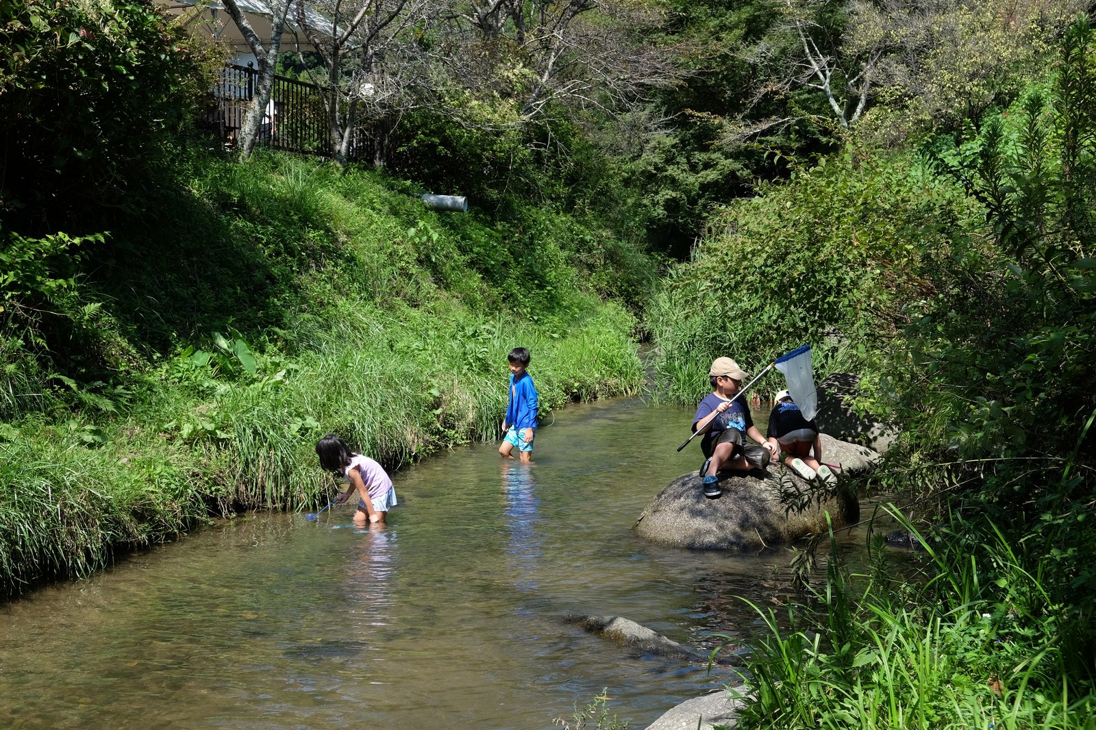 川で魚捕り