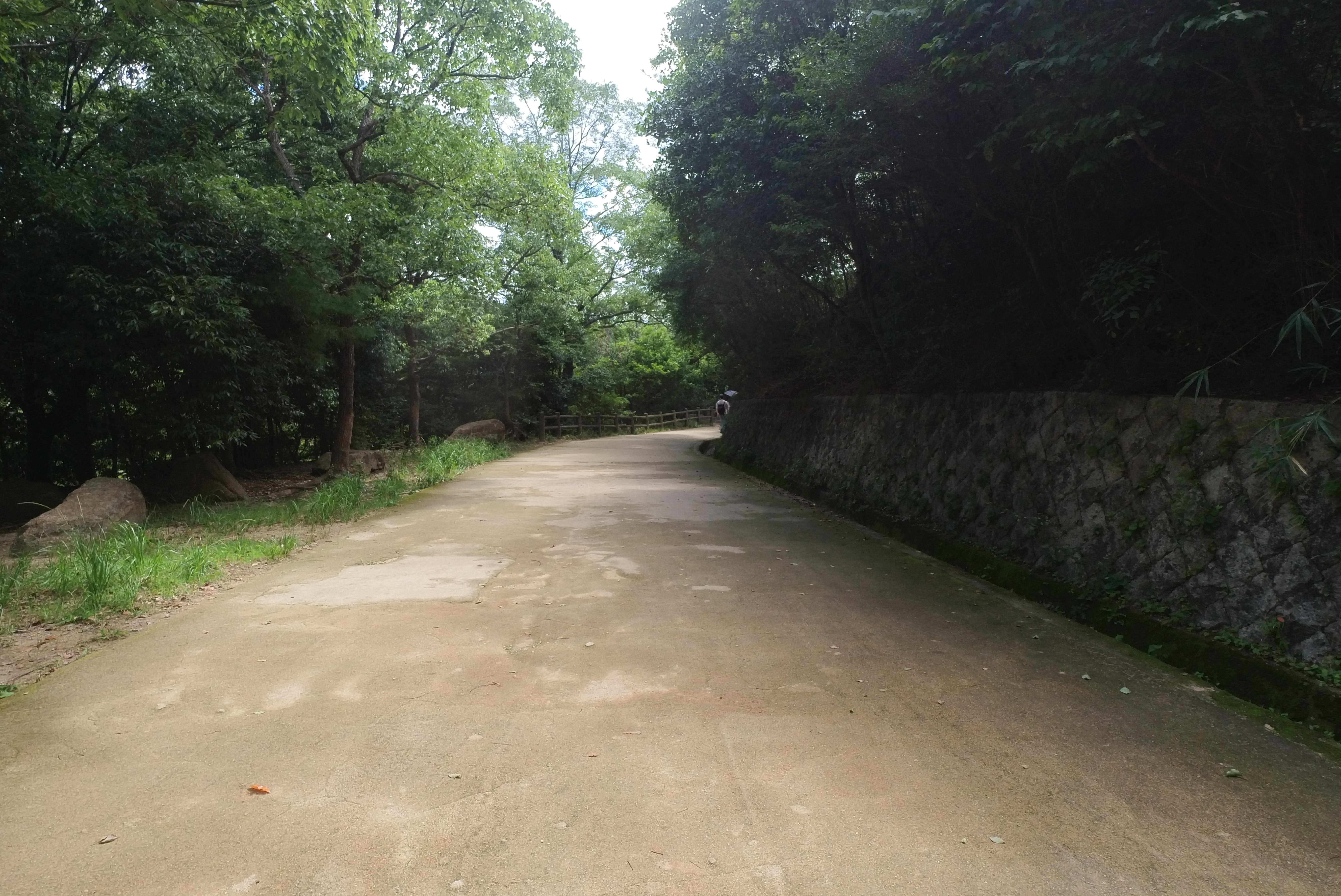 公園内の道