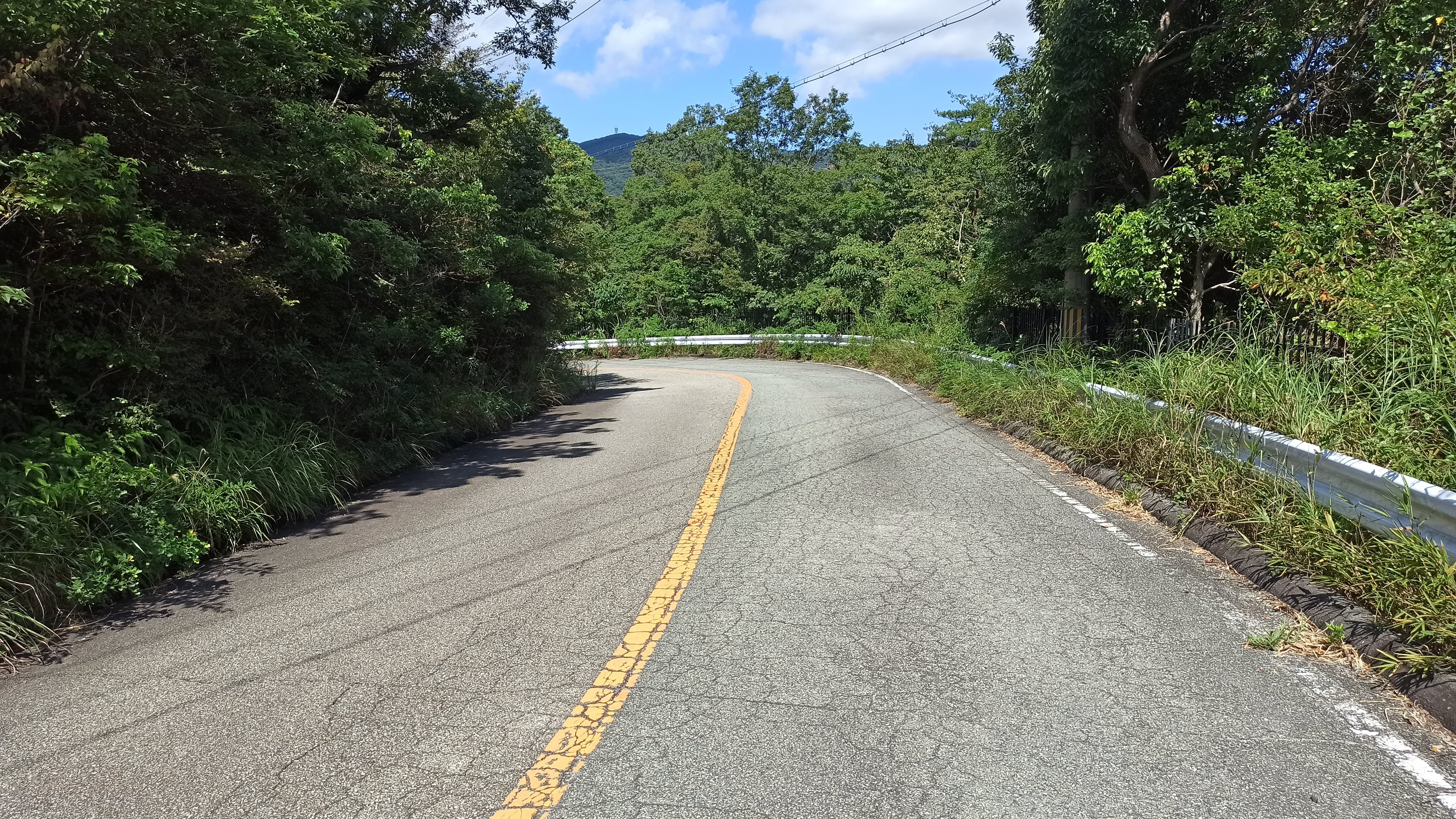 車道