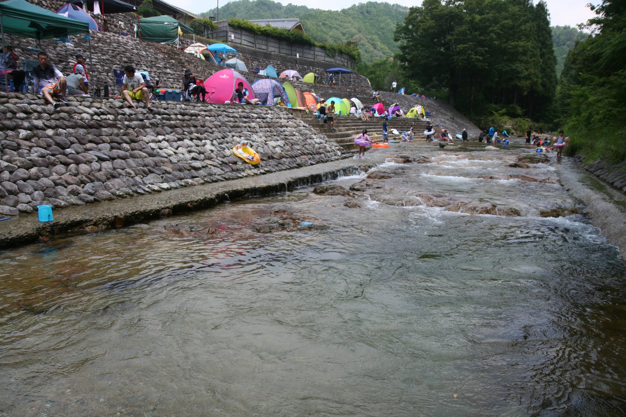 整備された川岸 