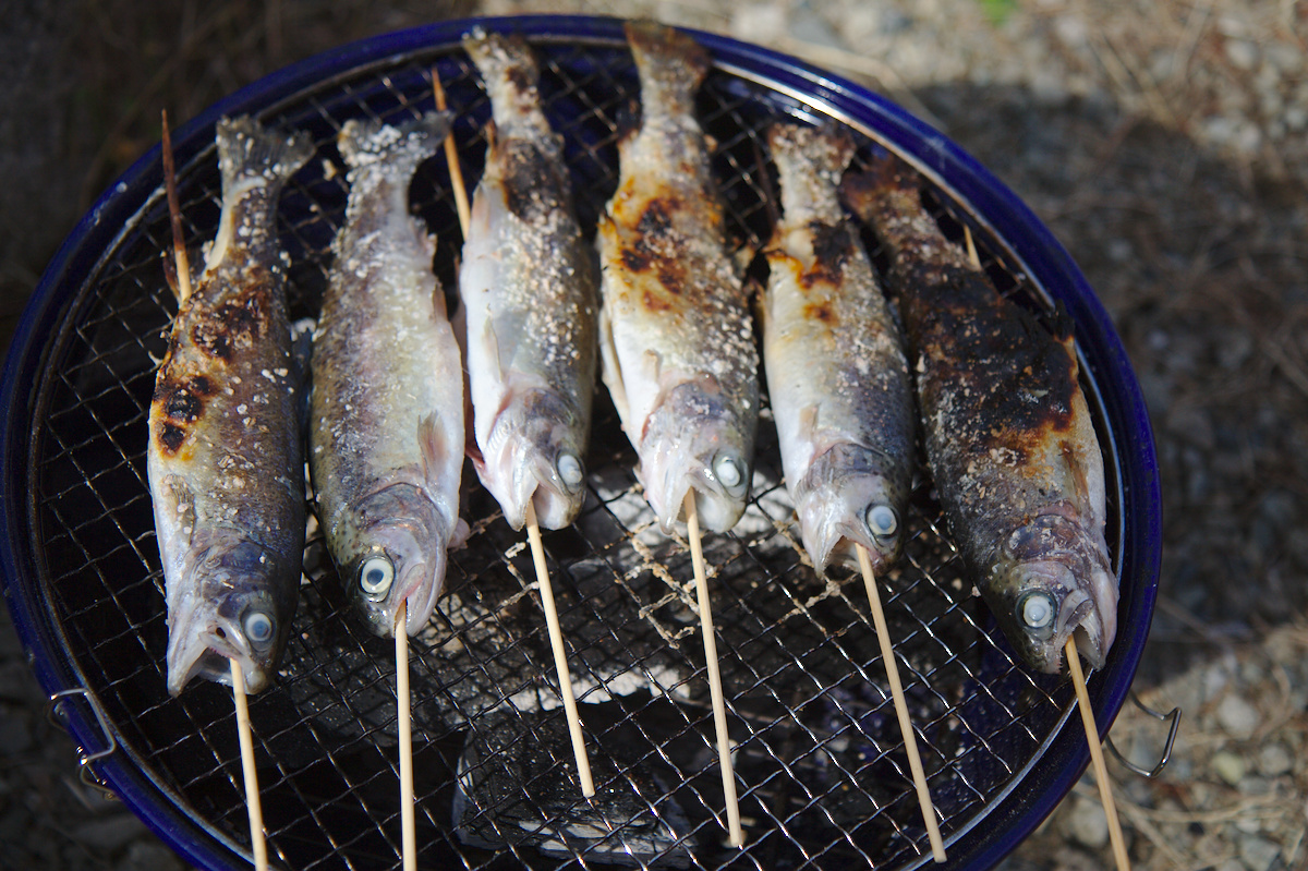 マスの塩焼き