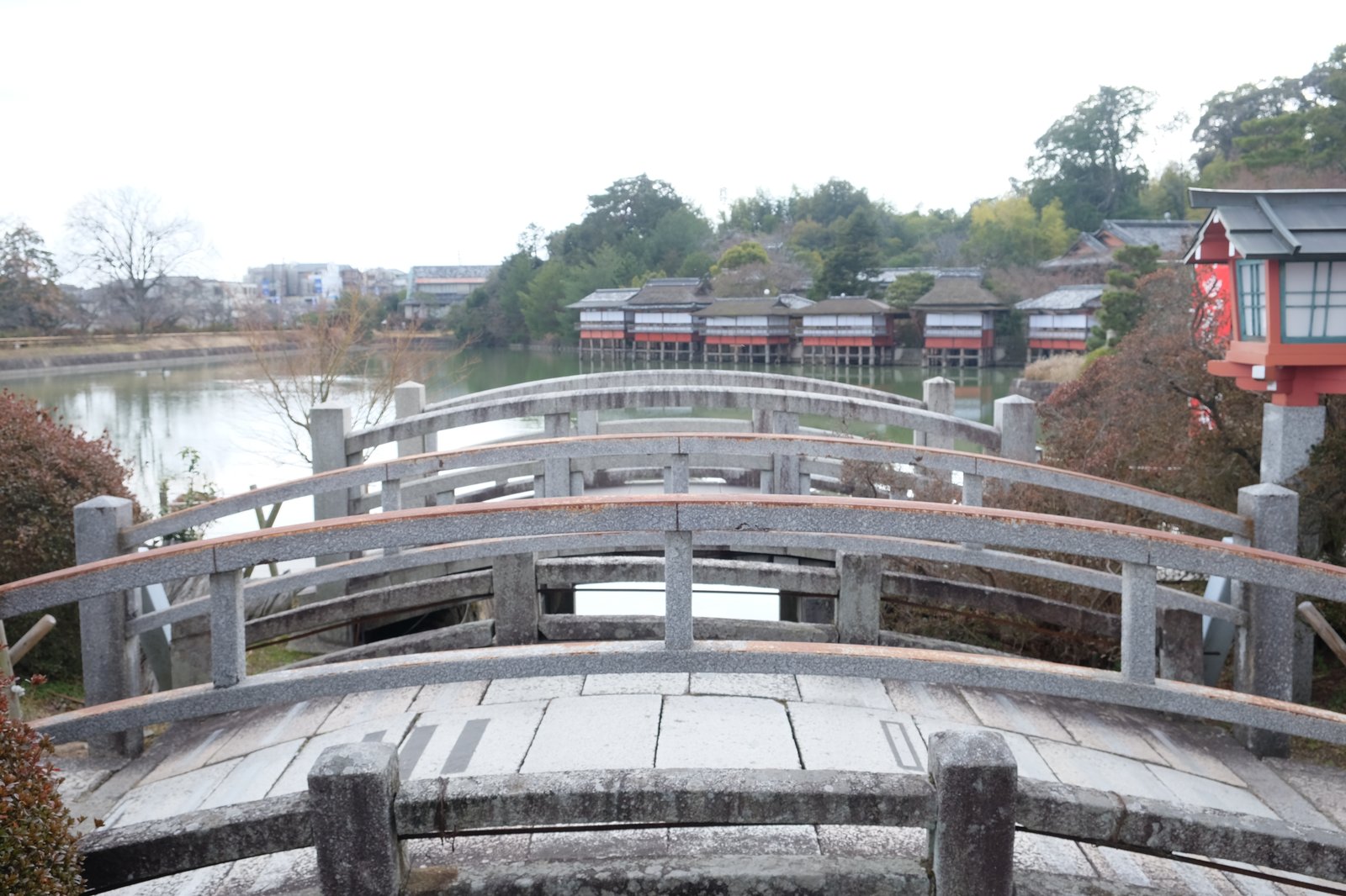 橋と八条が池