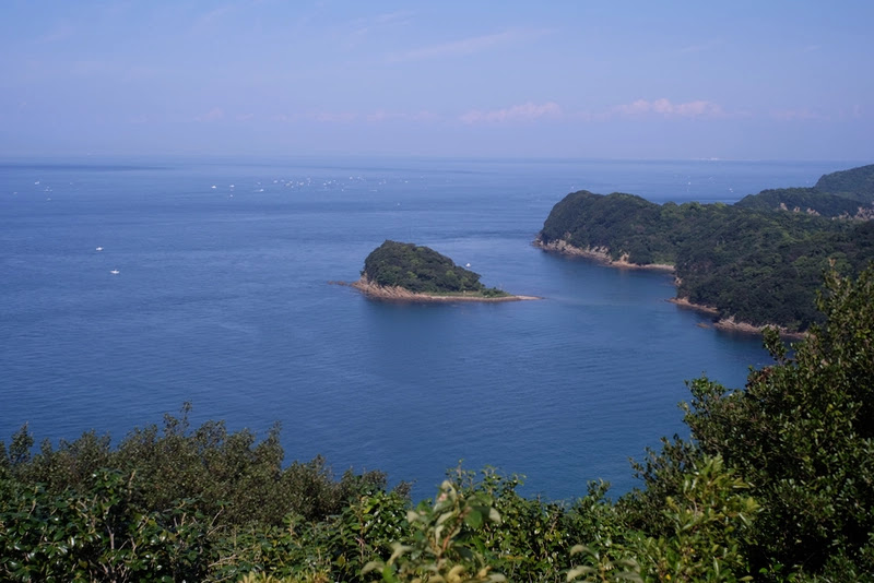 神島の展望