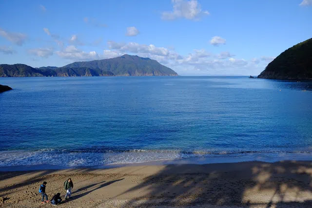 海