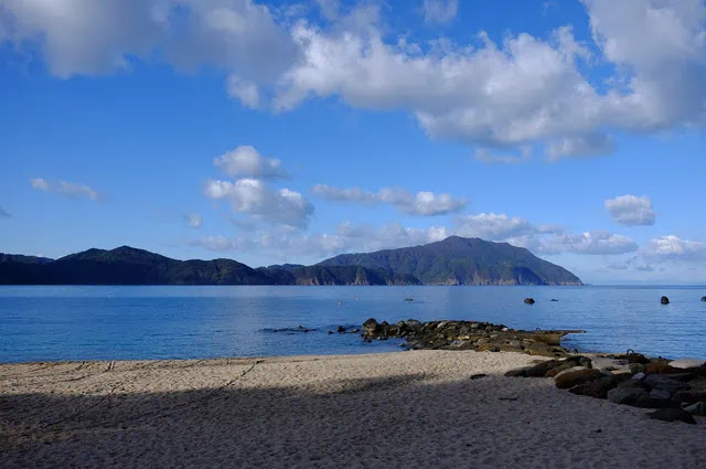 海