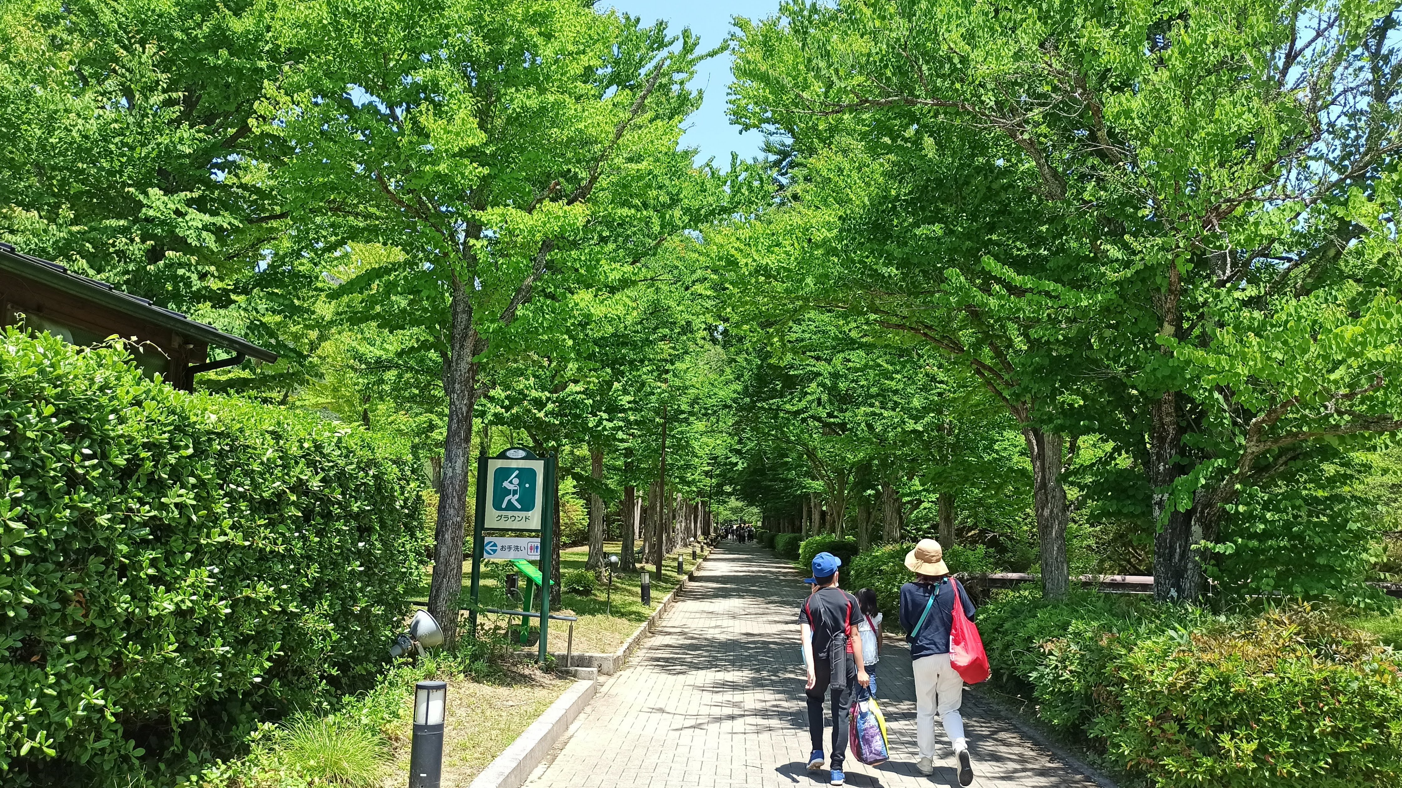 道を進む