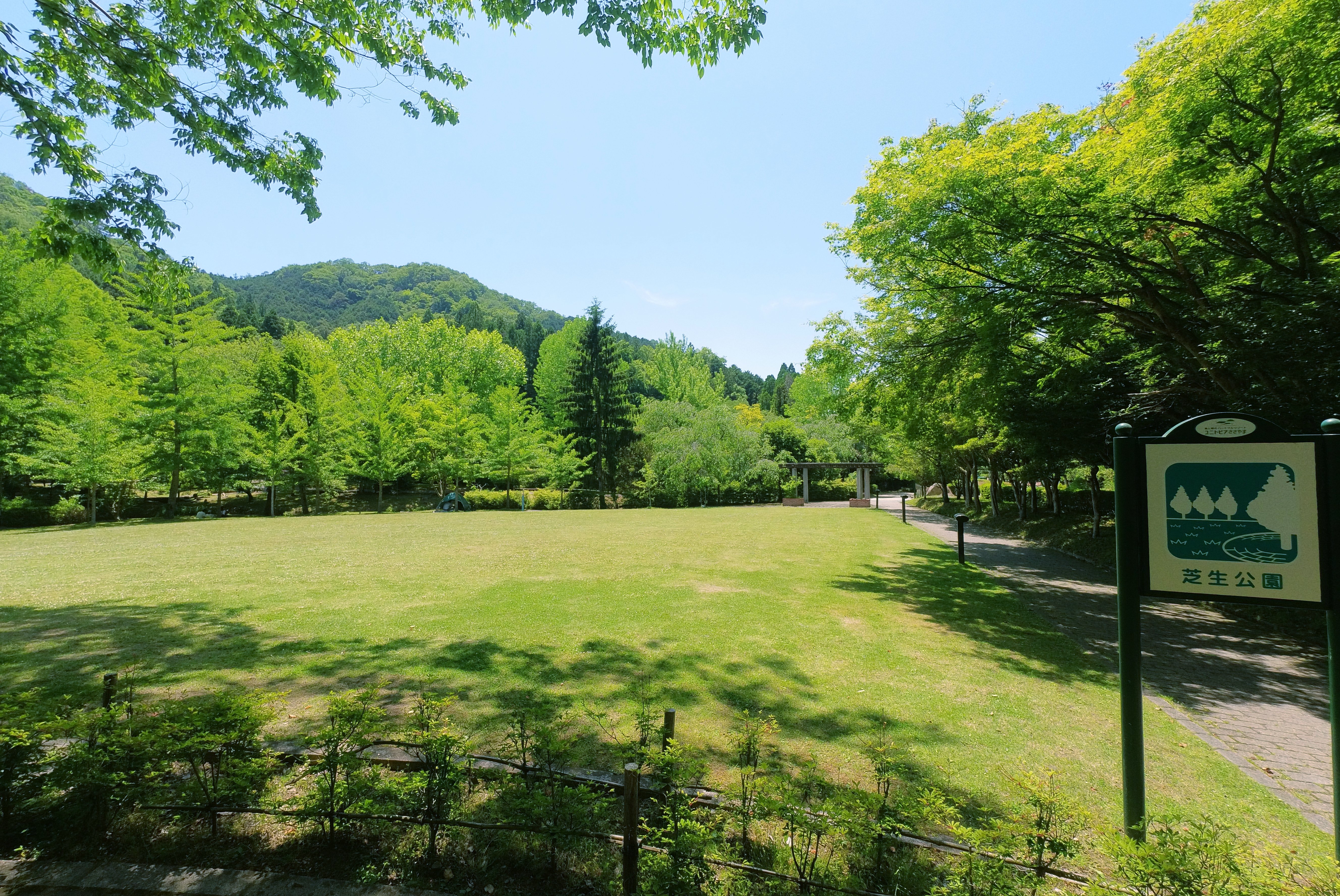 芝生公園
