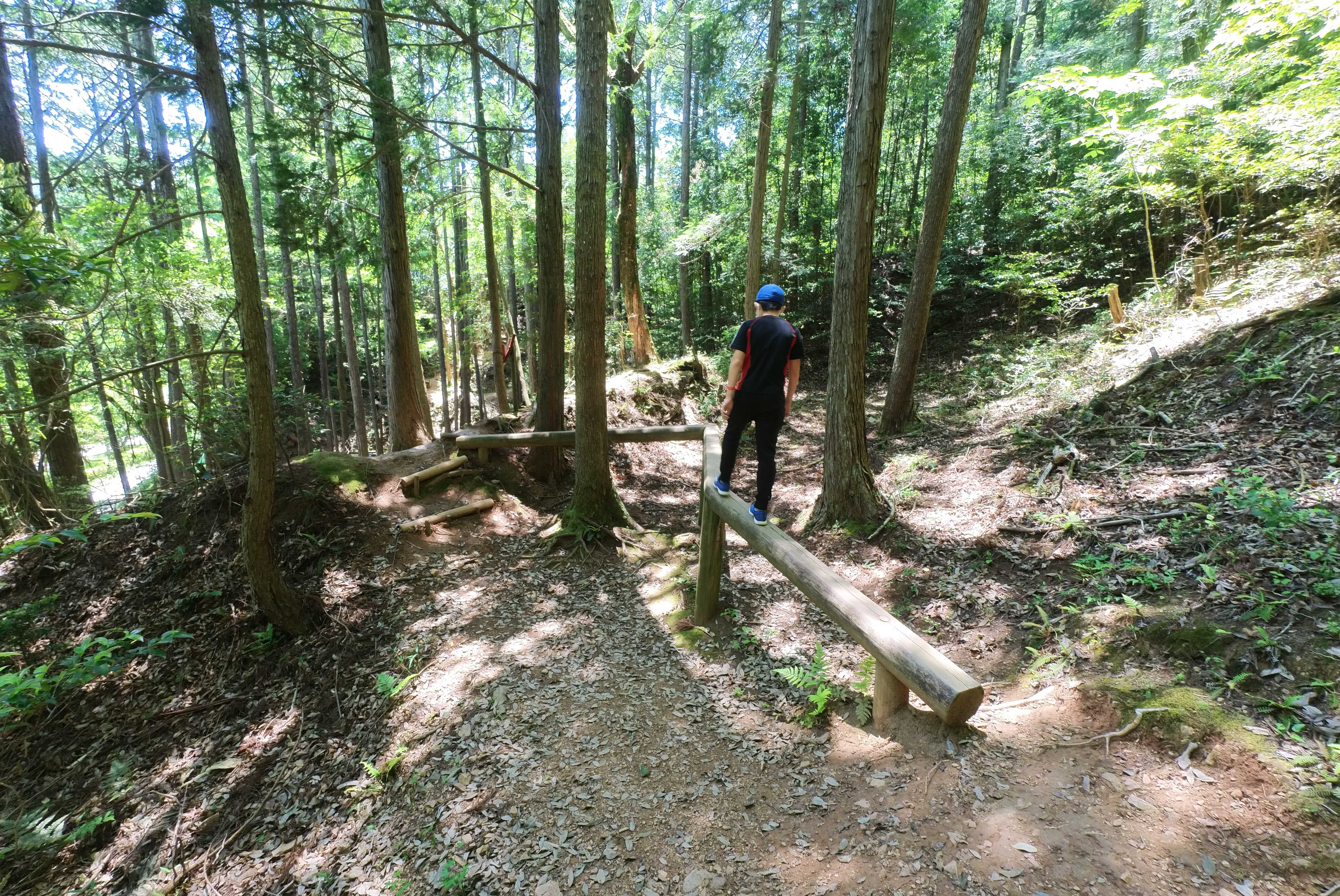 城下町走り