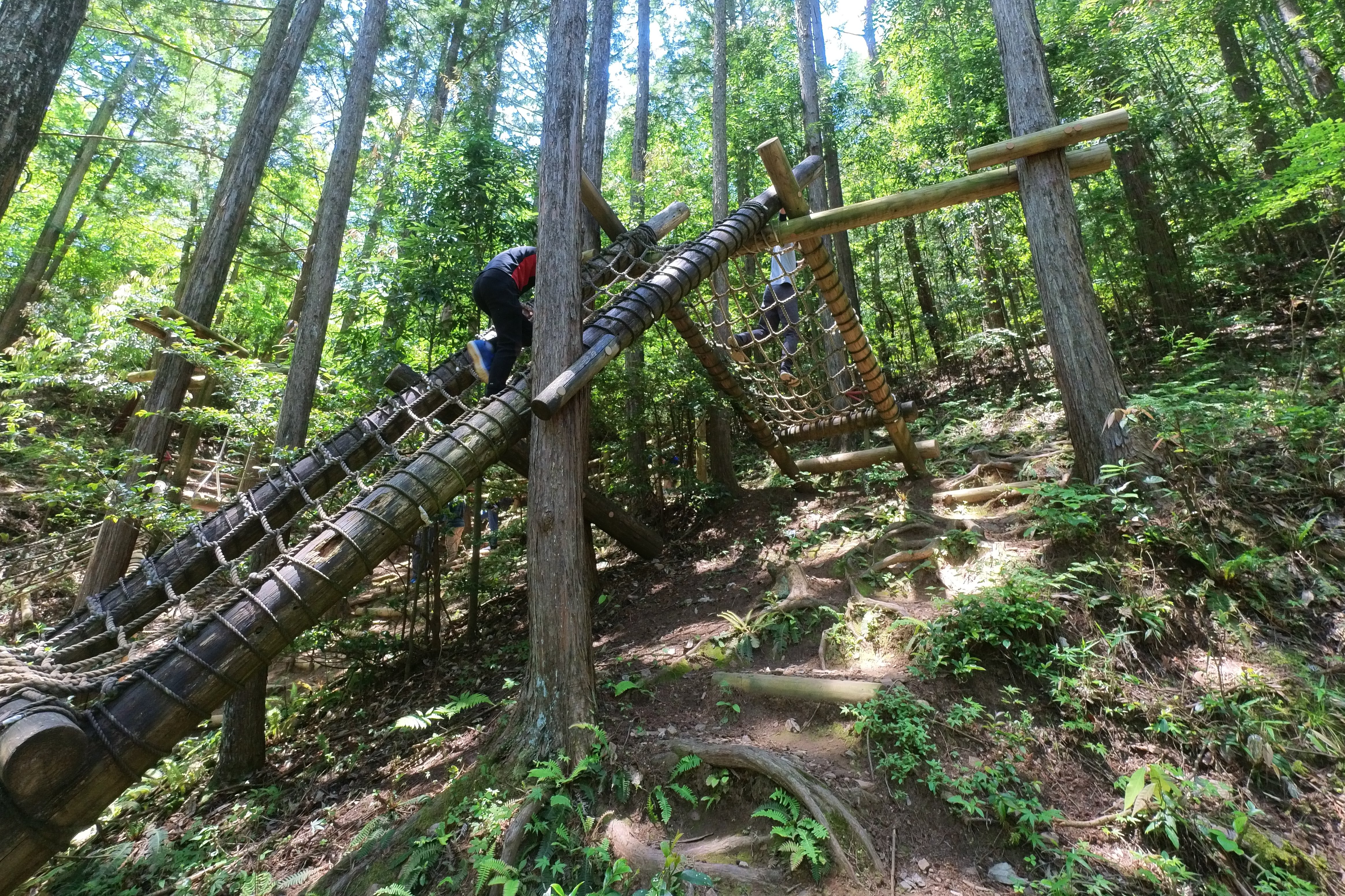 野を越え山越えて