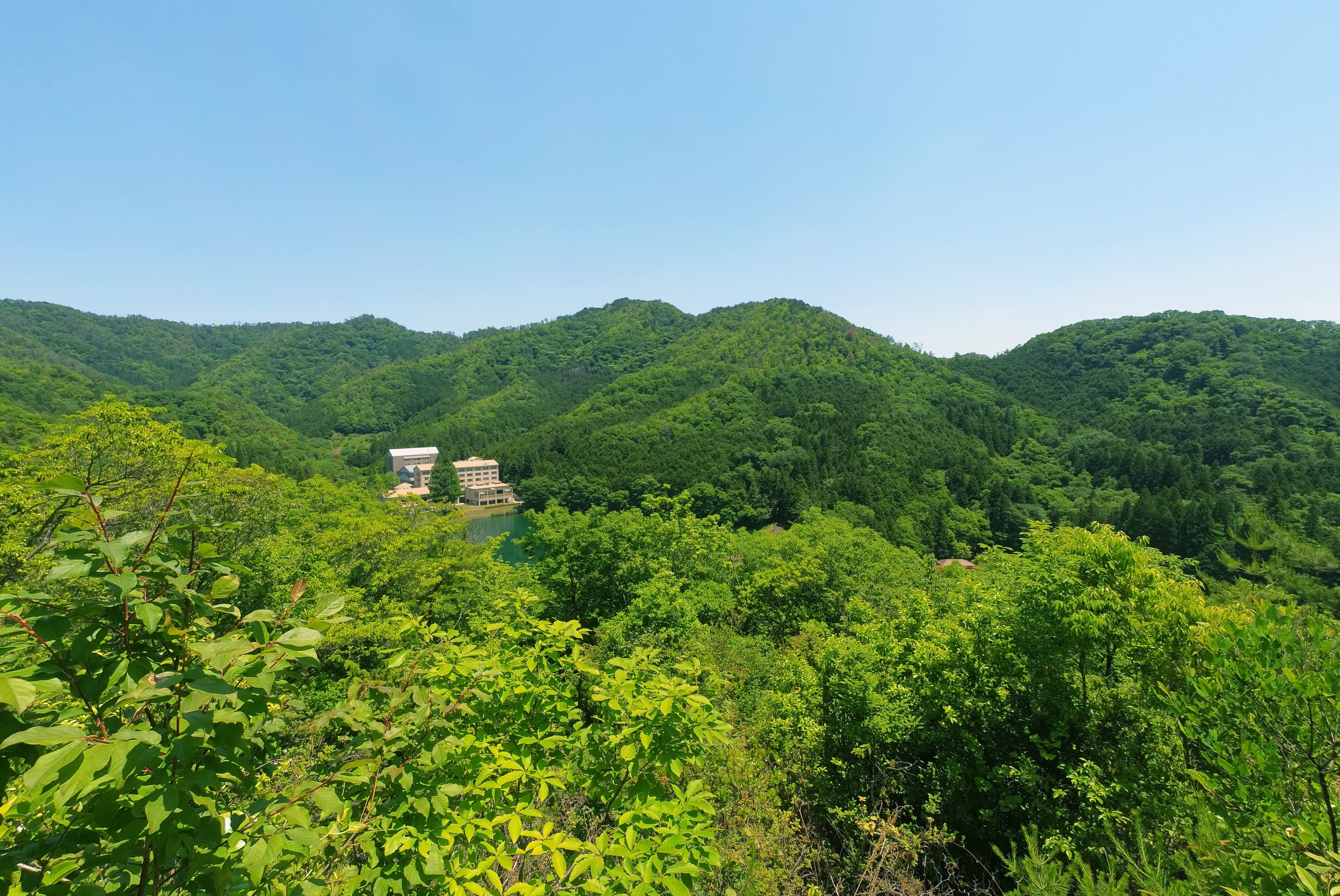 山頂からの眺め